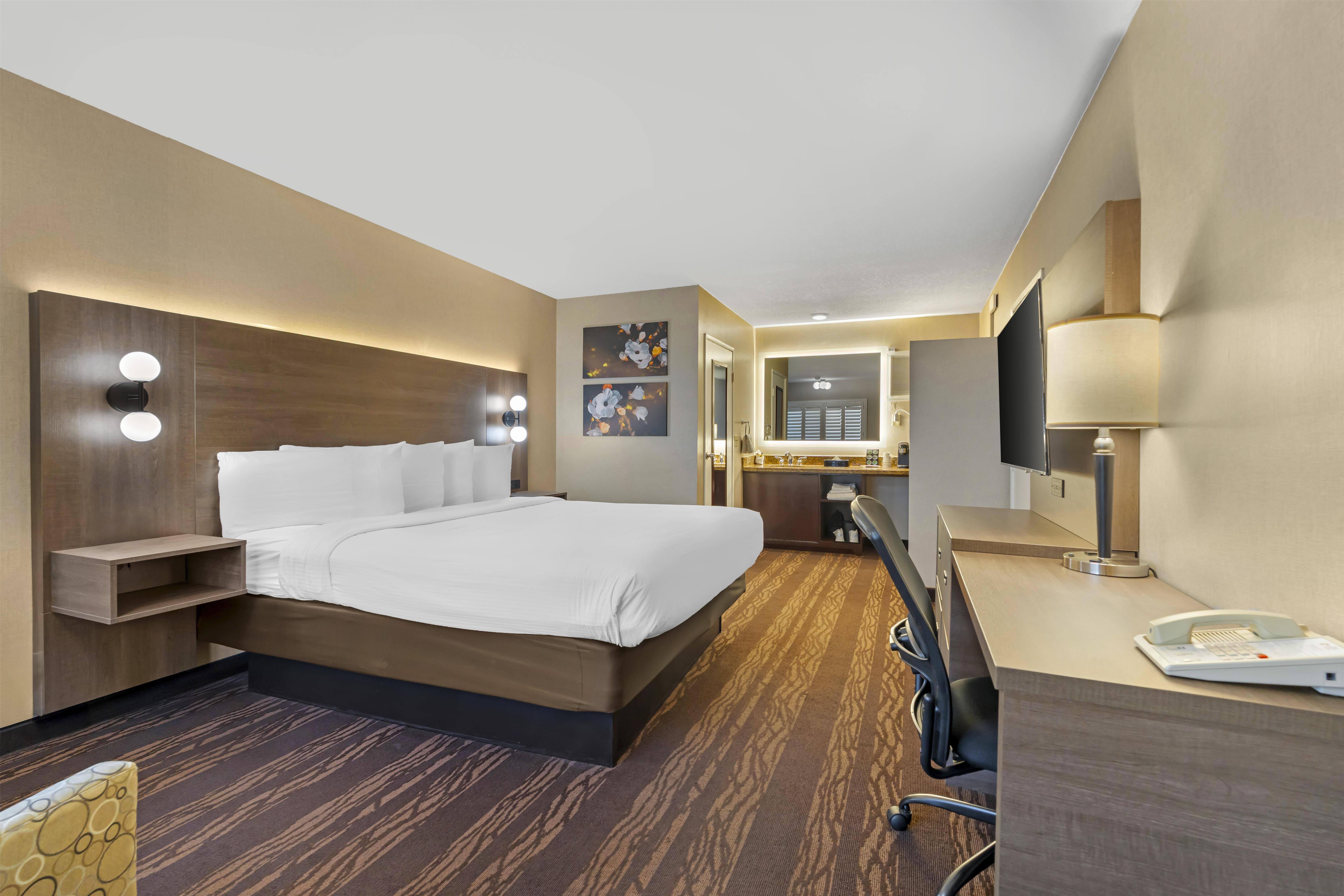 Room King Size Bed