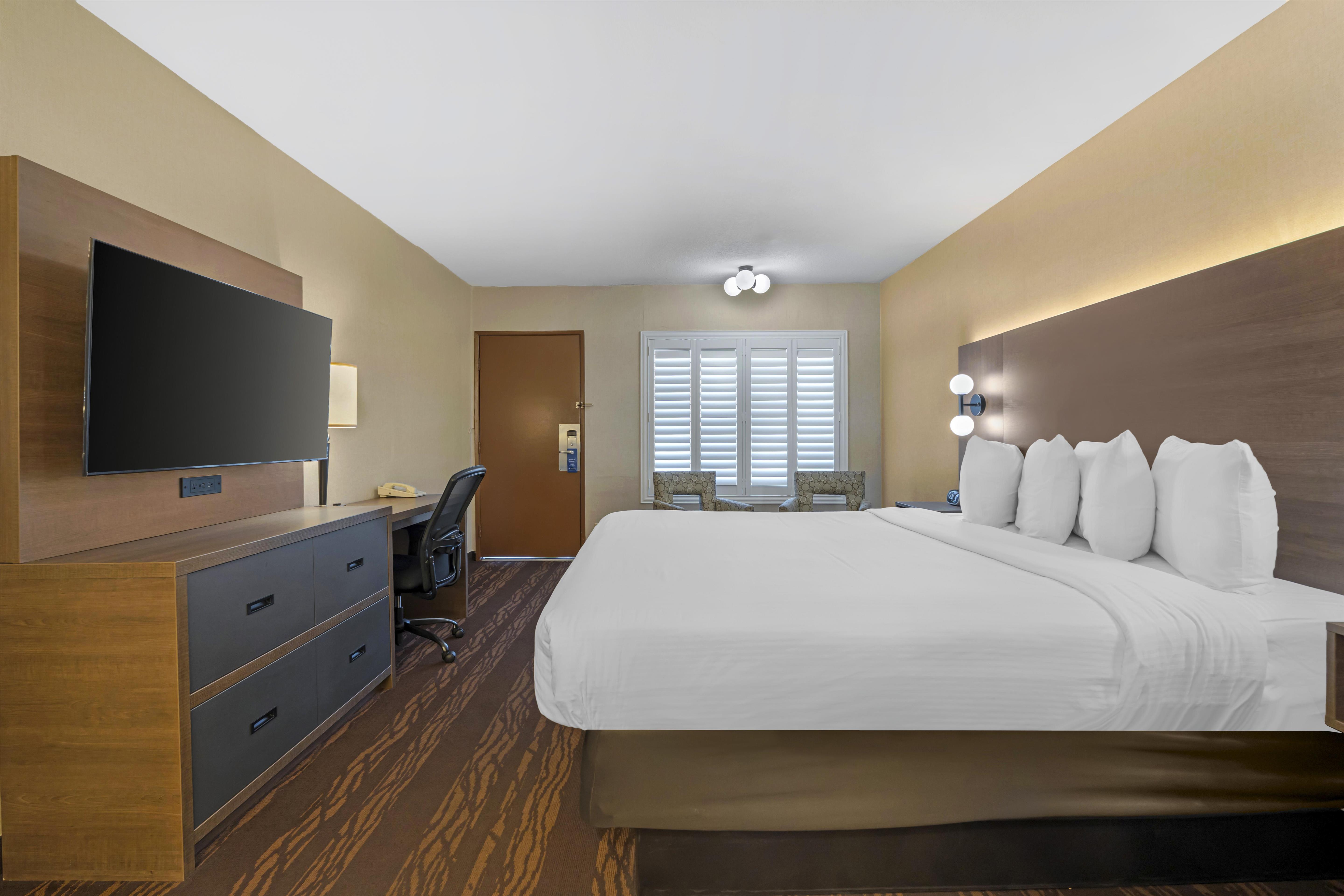 Room King Size Bed
