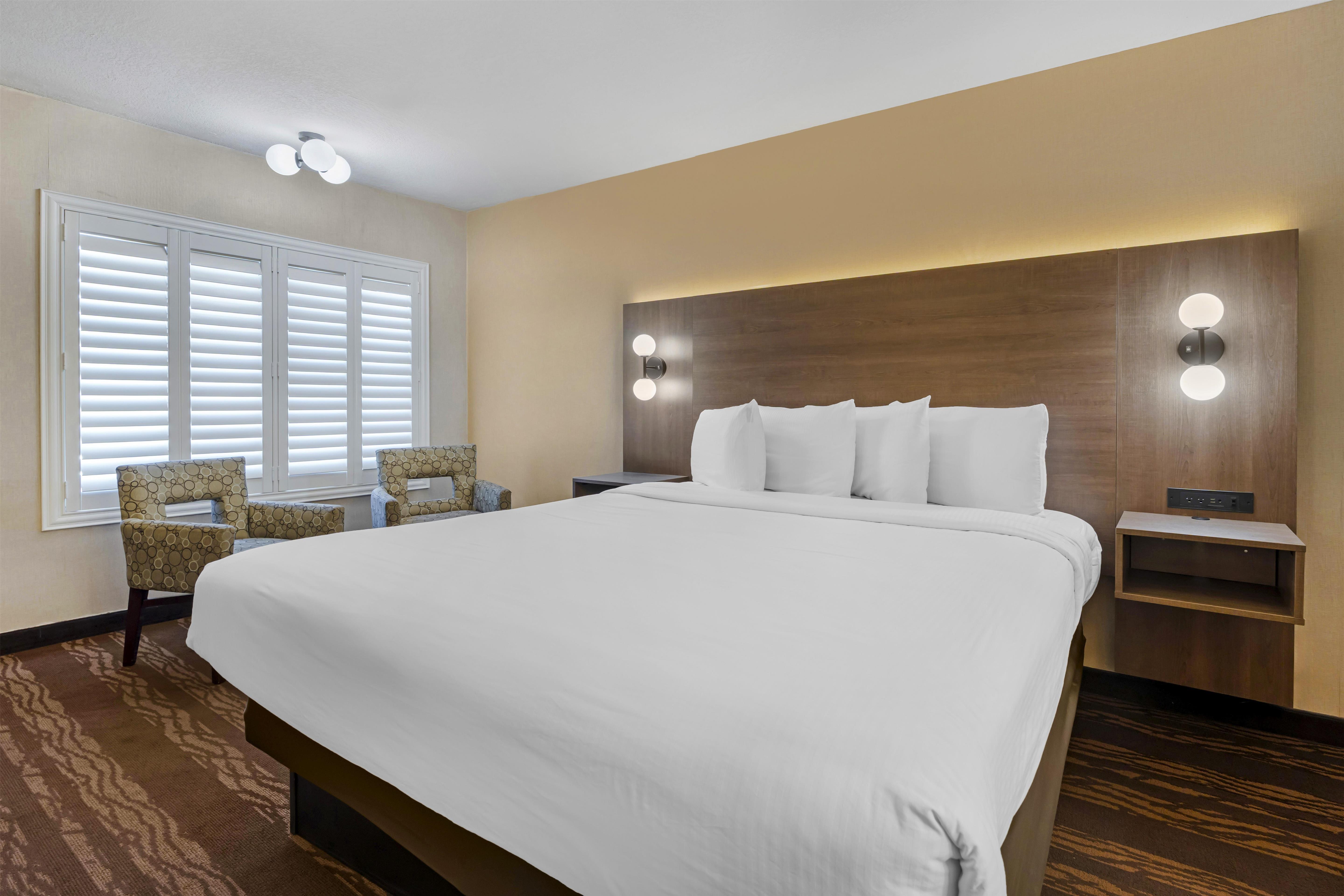 Room King Size Bed