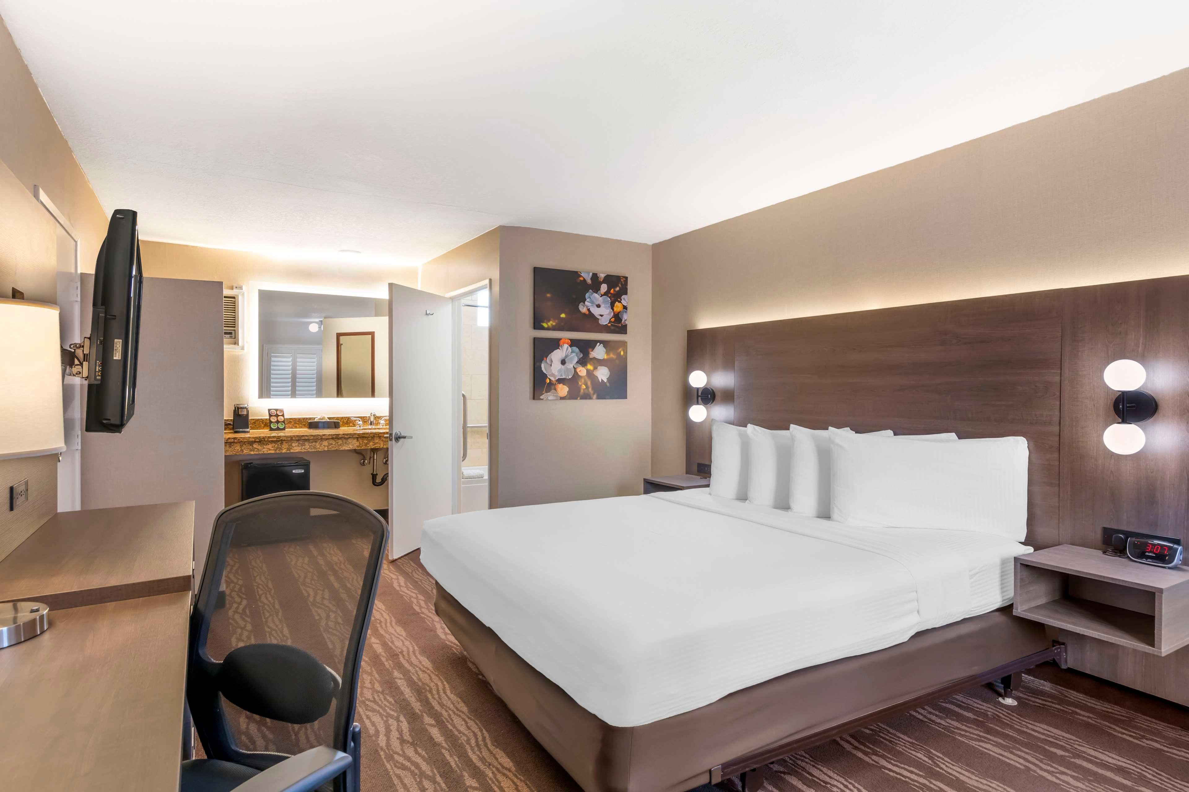 Room Queen Bed Non Smoking