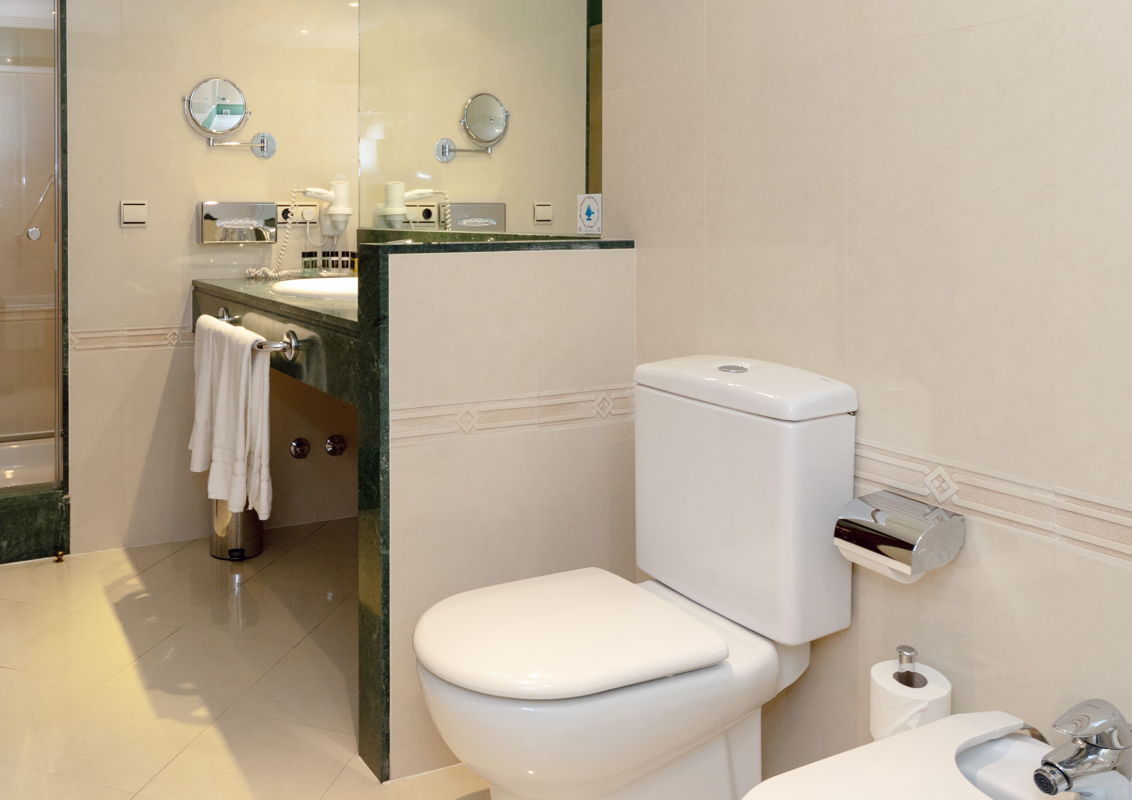 Double or Twin Executive