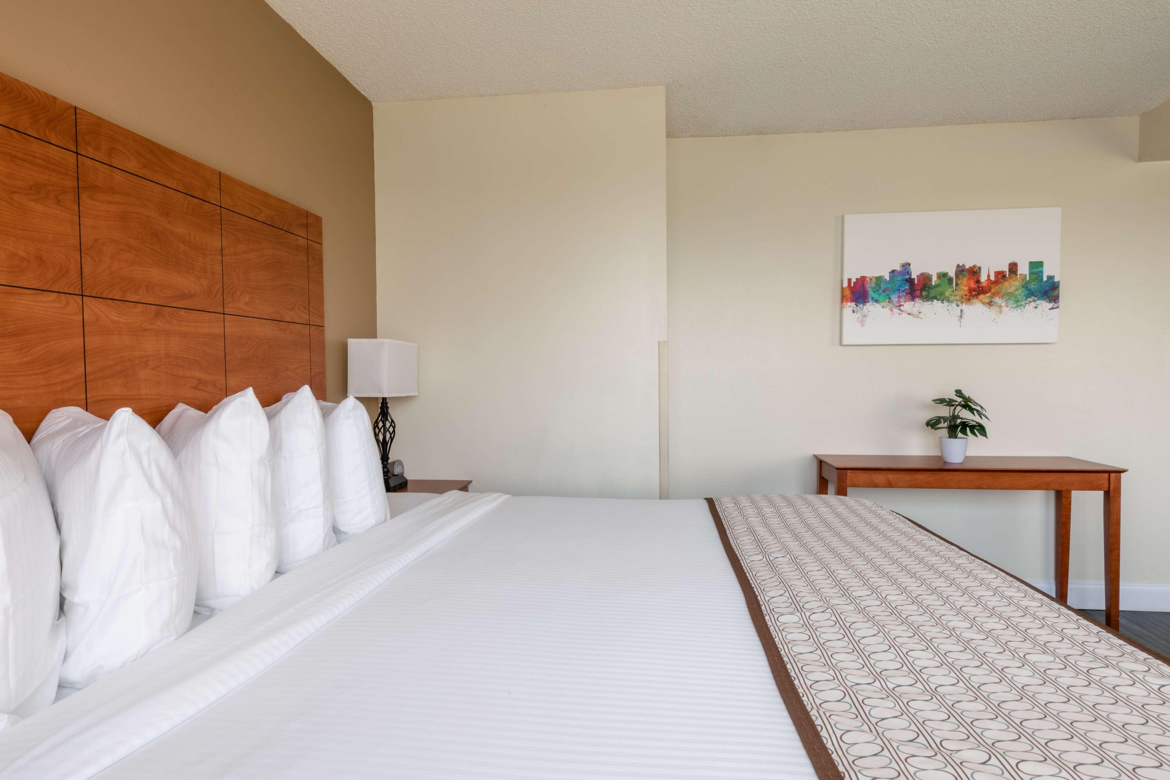 Suite King Bed Non Smoking