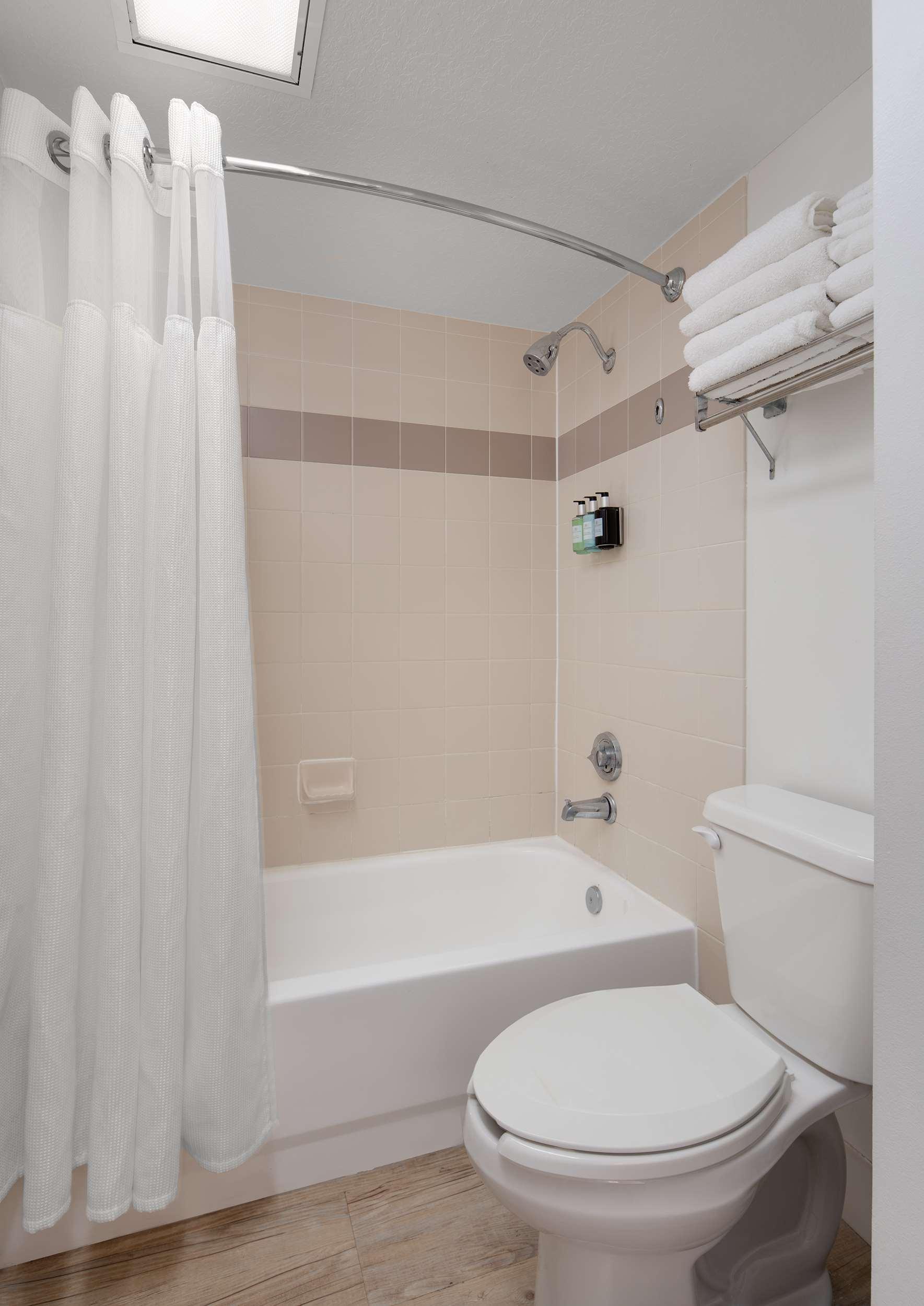 Suite City View One Bedroom