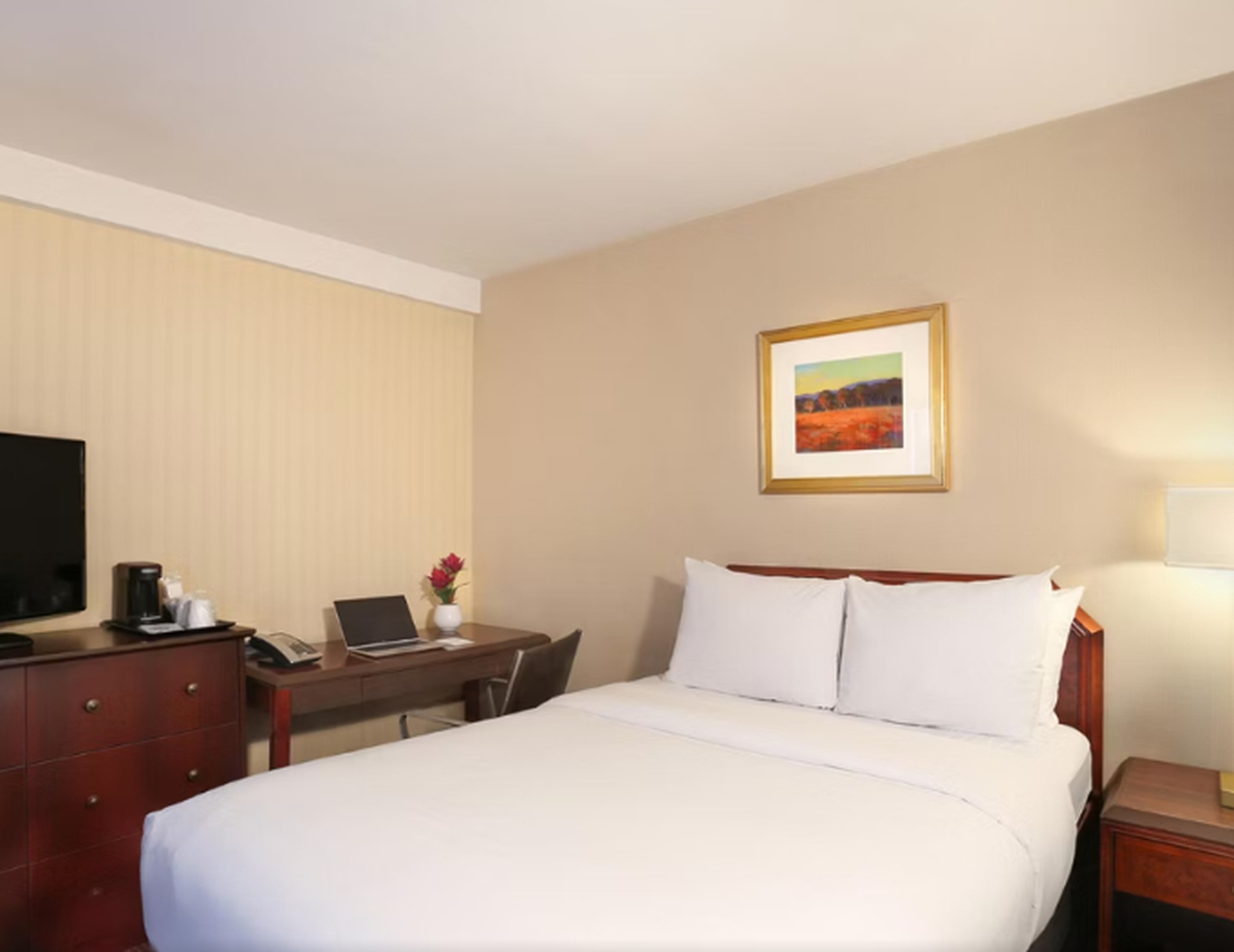 Double Queen Size Bed