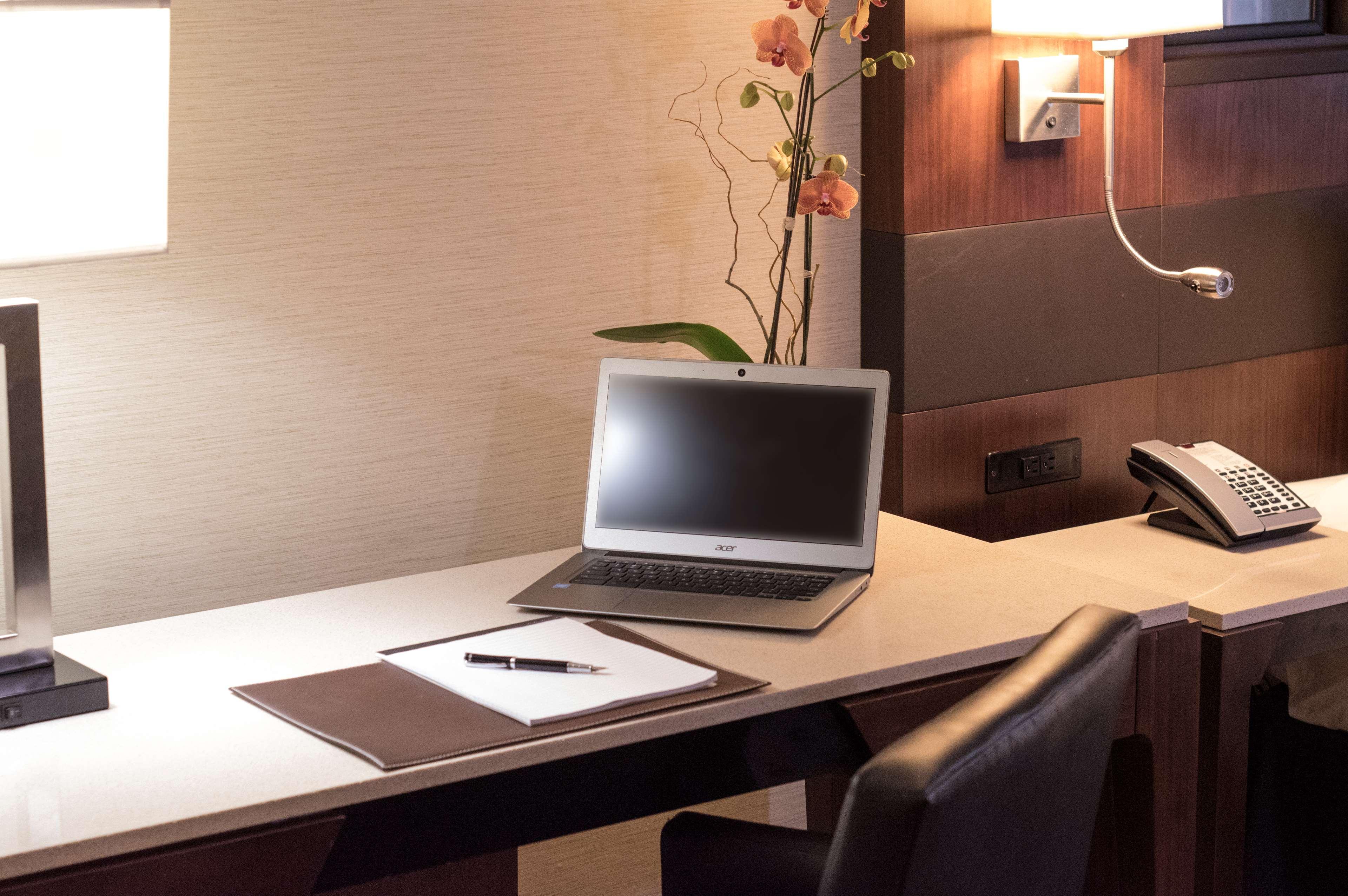 Junior Suite Capacity 4