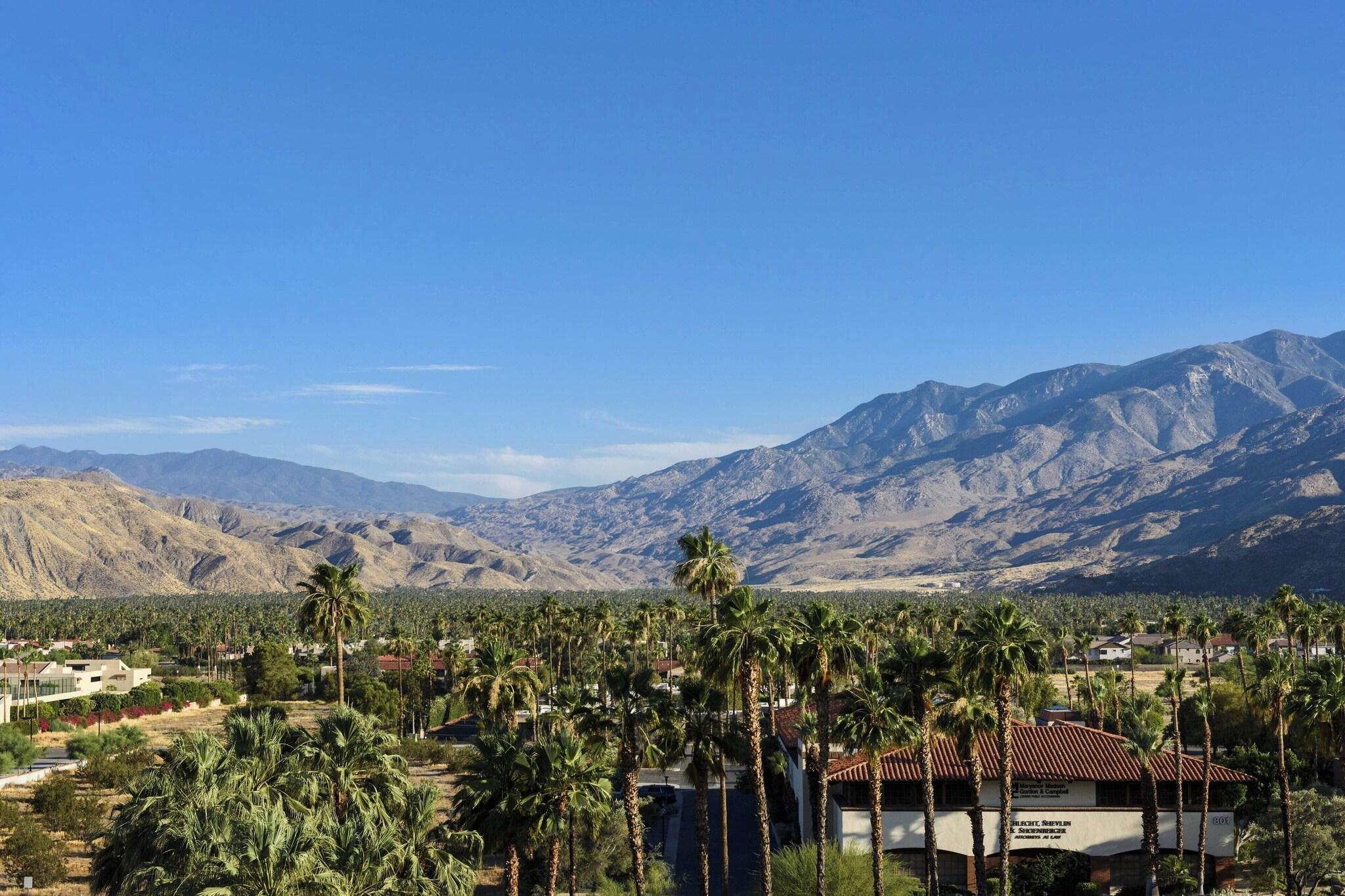 Junior Suite Mountain View