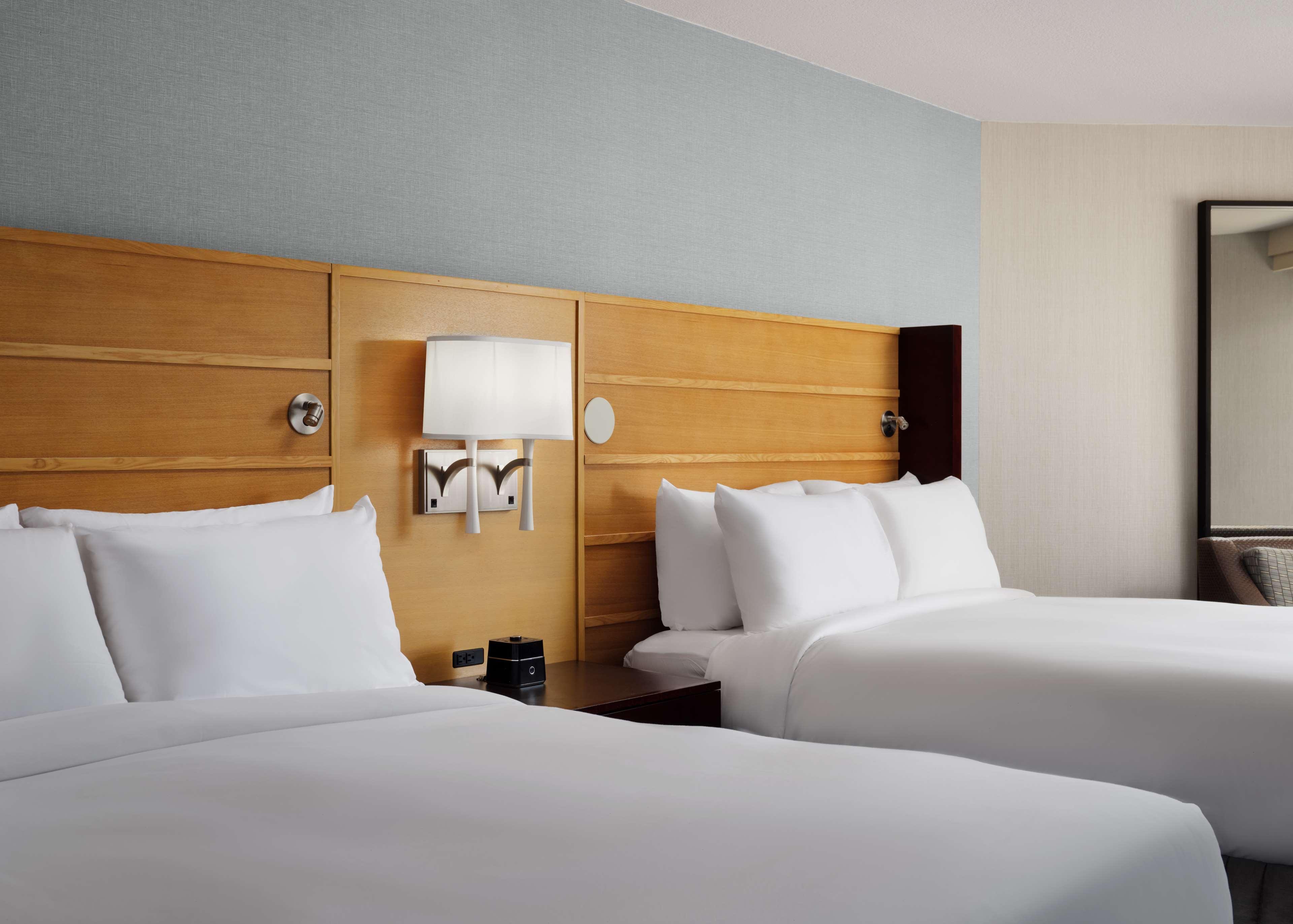 Double Two Queen Beds