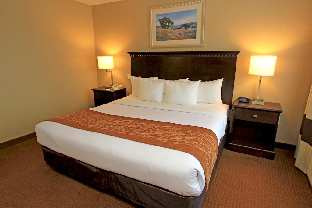 Suite Two Queen Beds