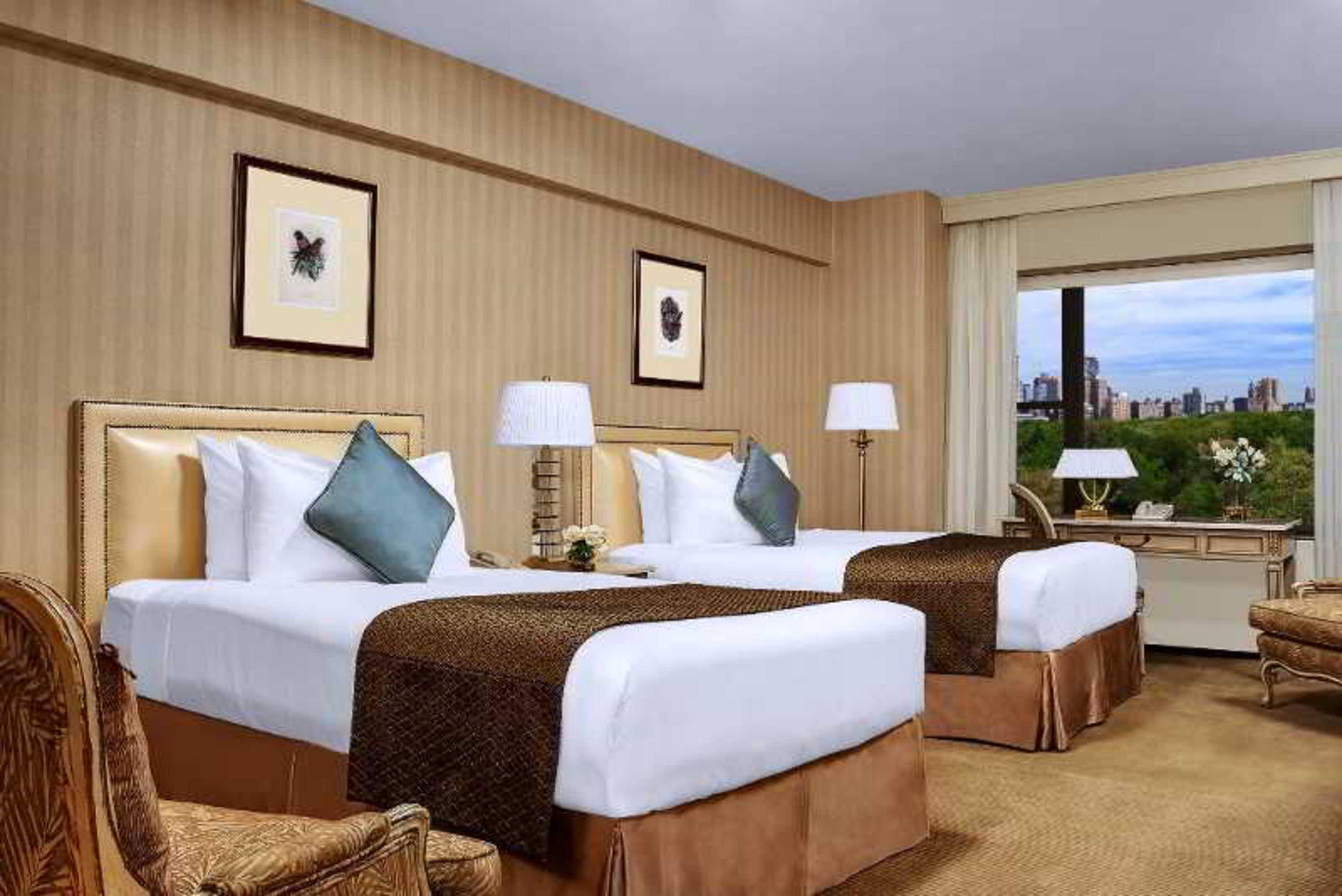 Double Executive City View