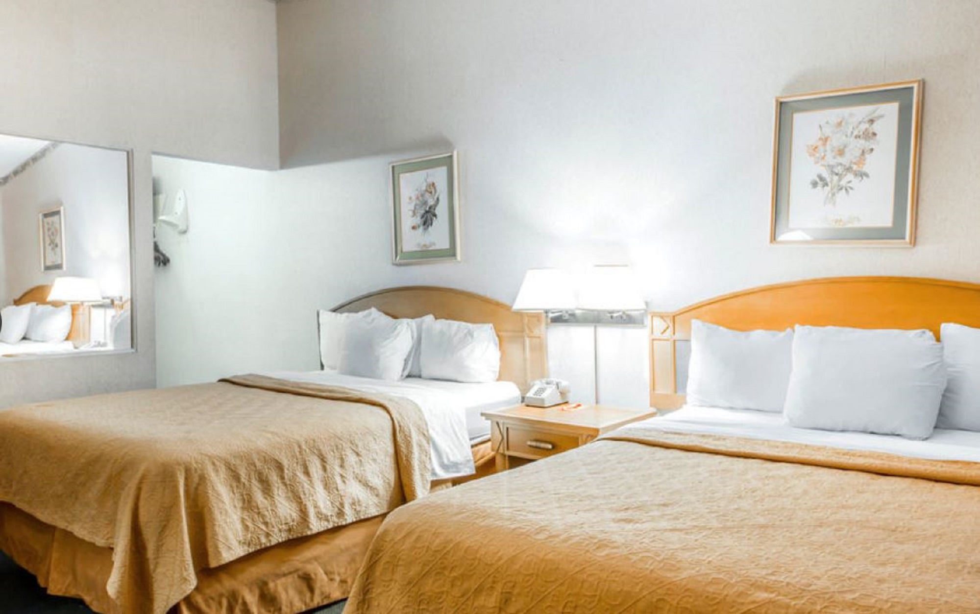 Double Two Queen Beds