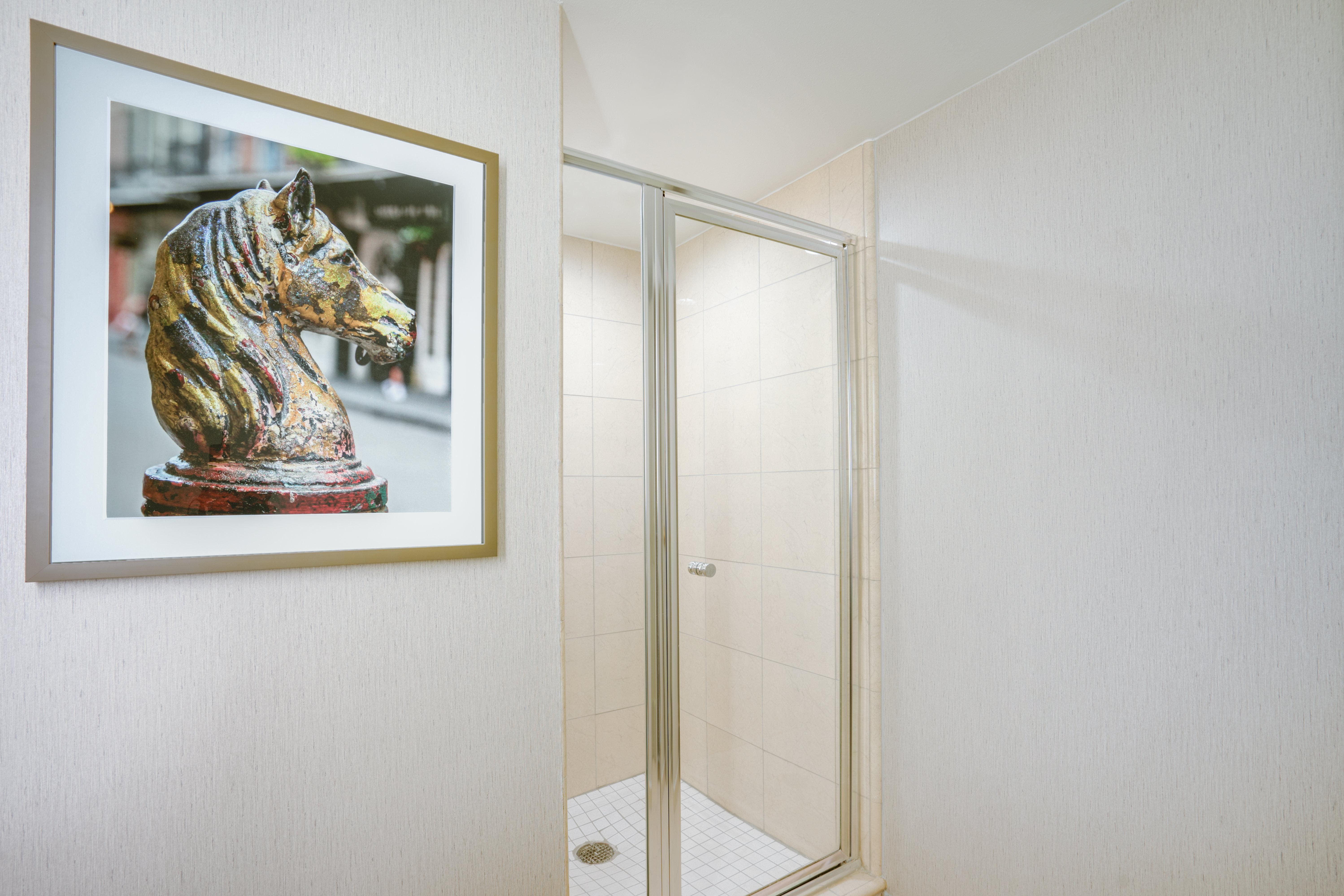 Suite King Bed Non Smoking