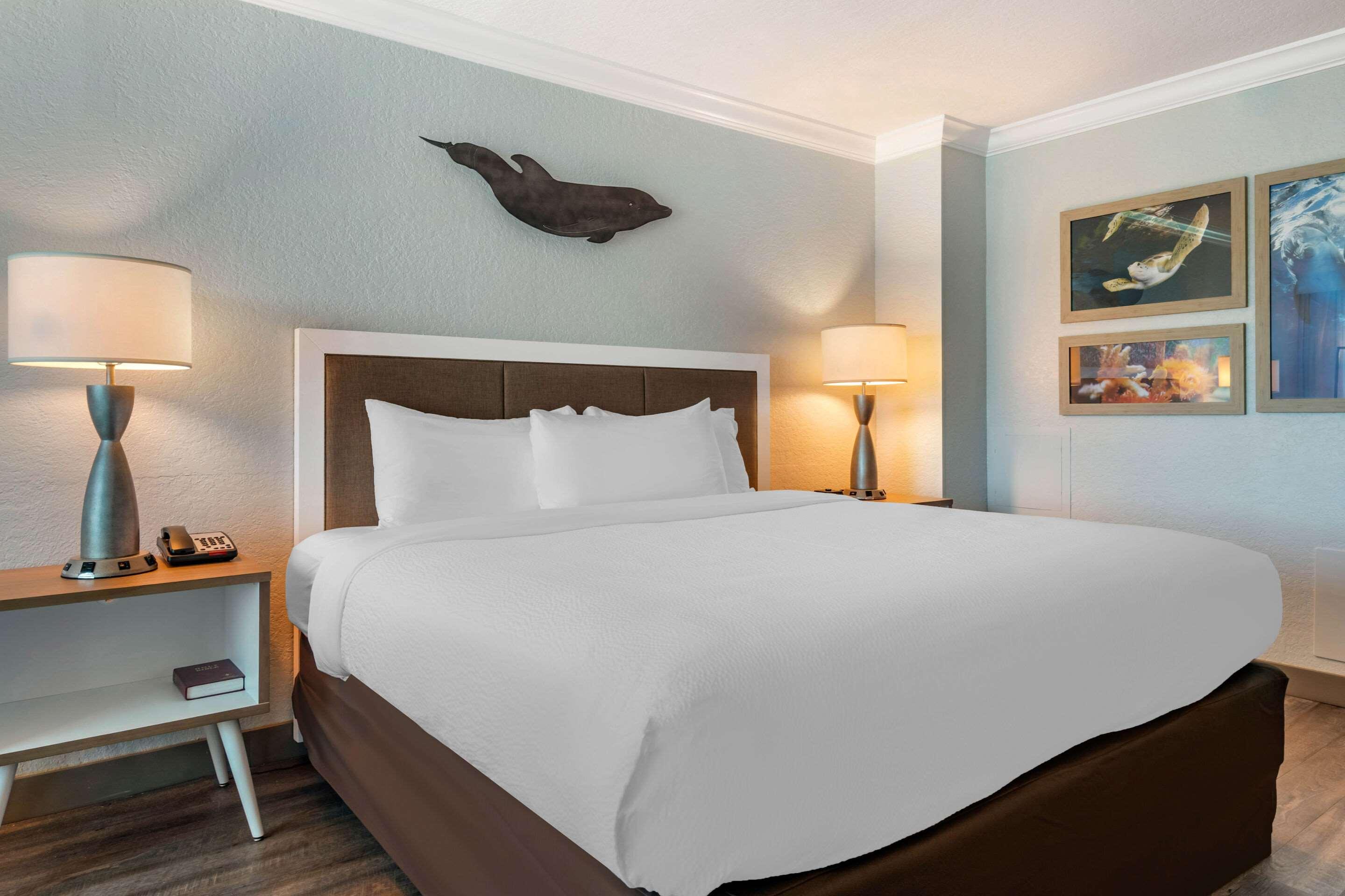 Double King Bed Non Smoking