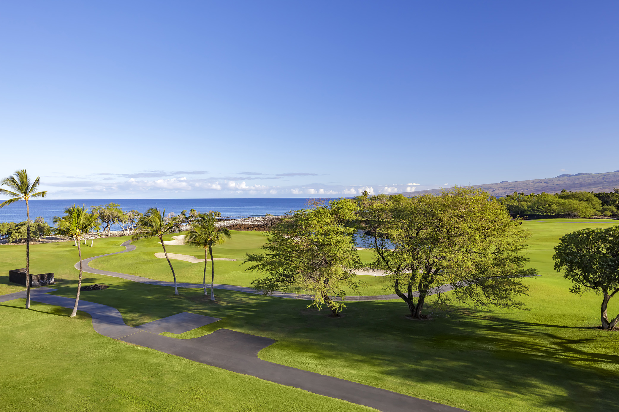 Double Premium Ocean View