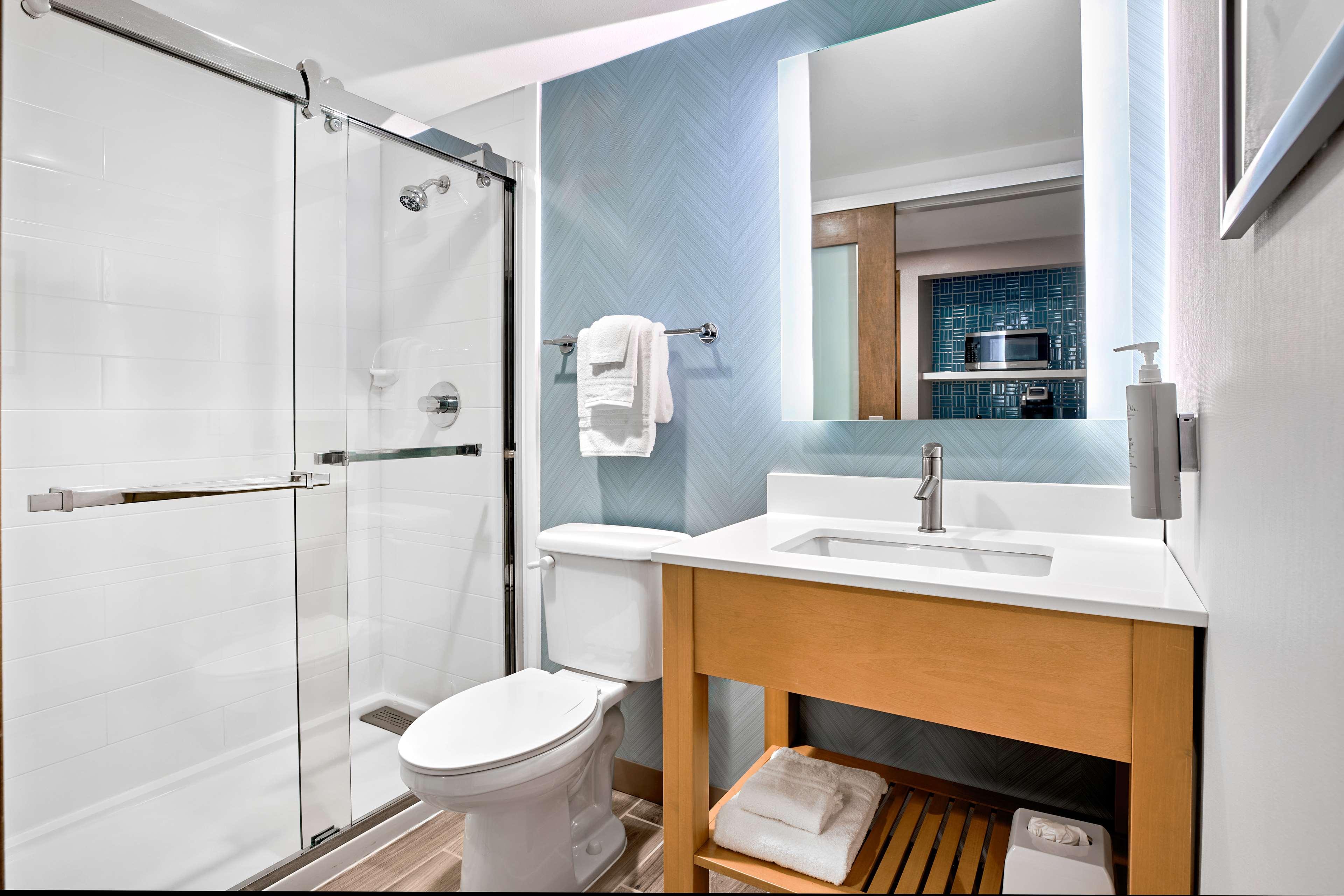 Suite King Bed One Bedroom 