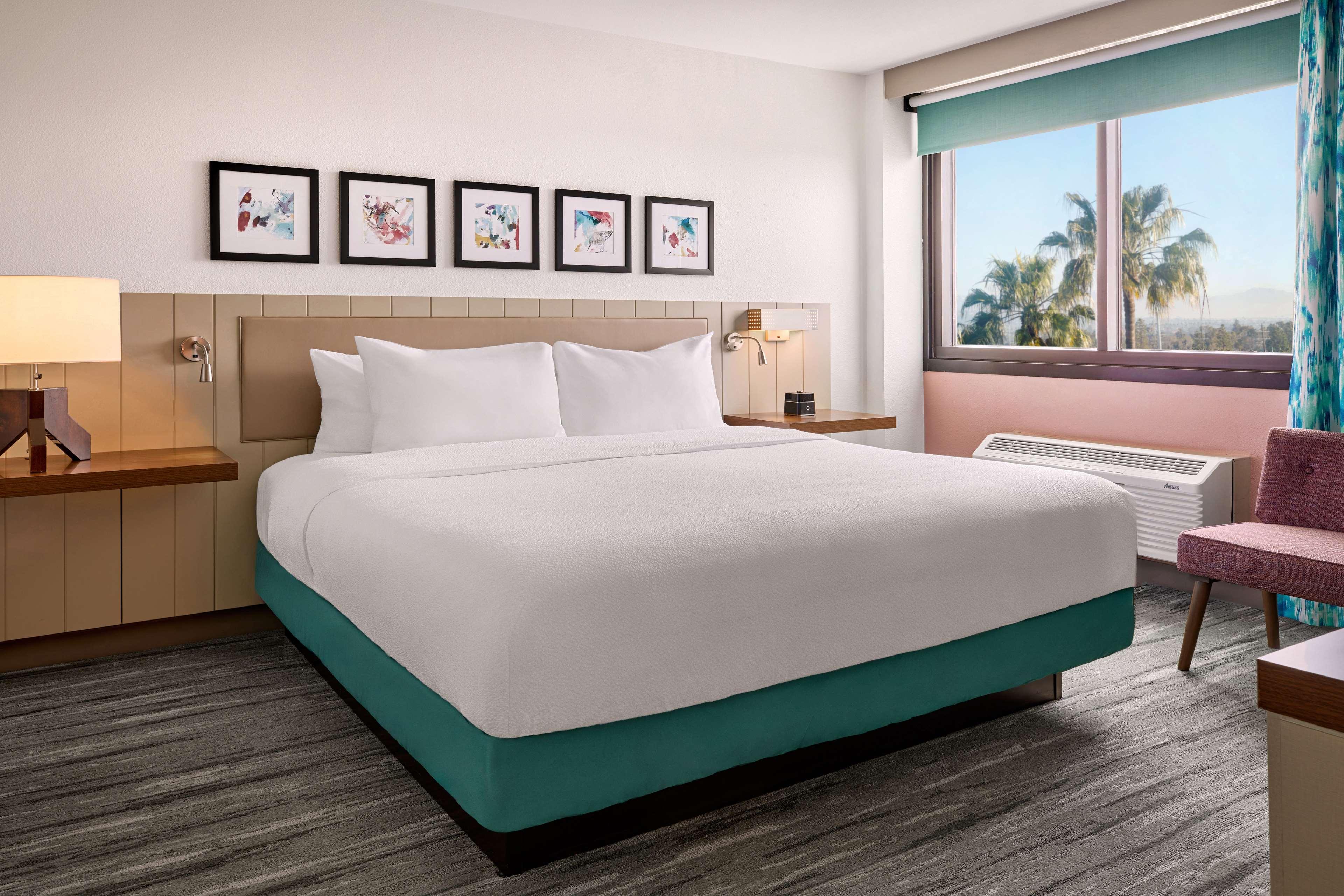 Suite King Bed One Bedroom 