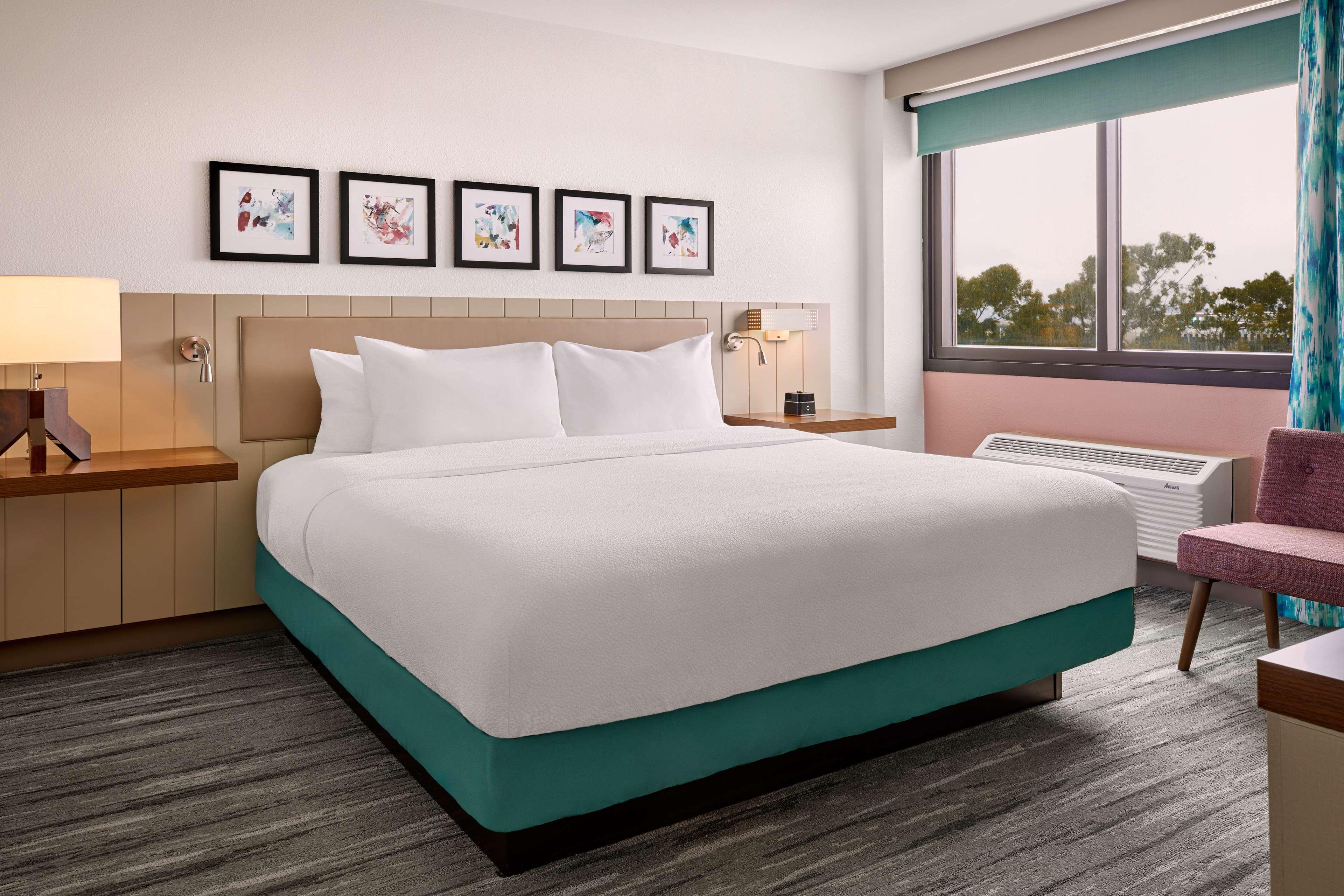 Suite King Bed One Bedroom 