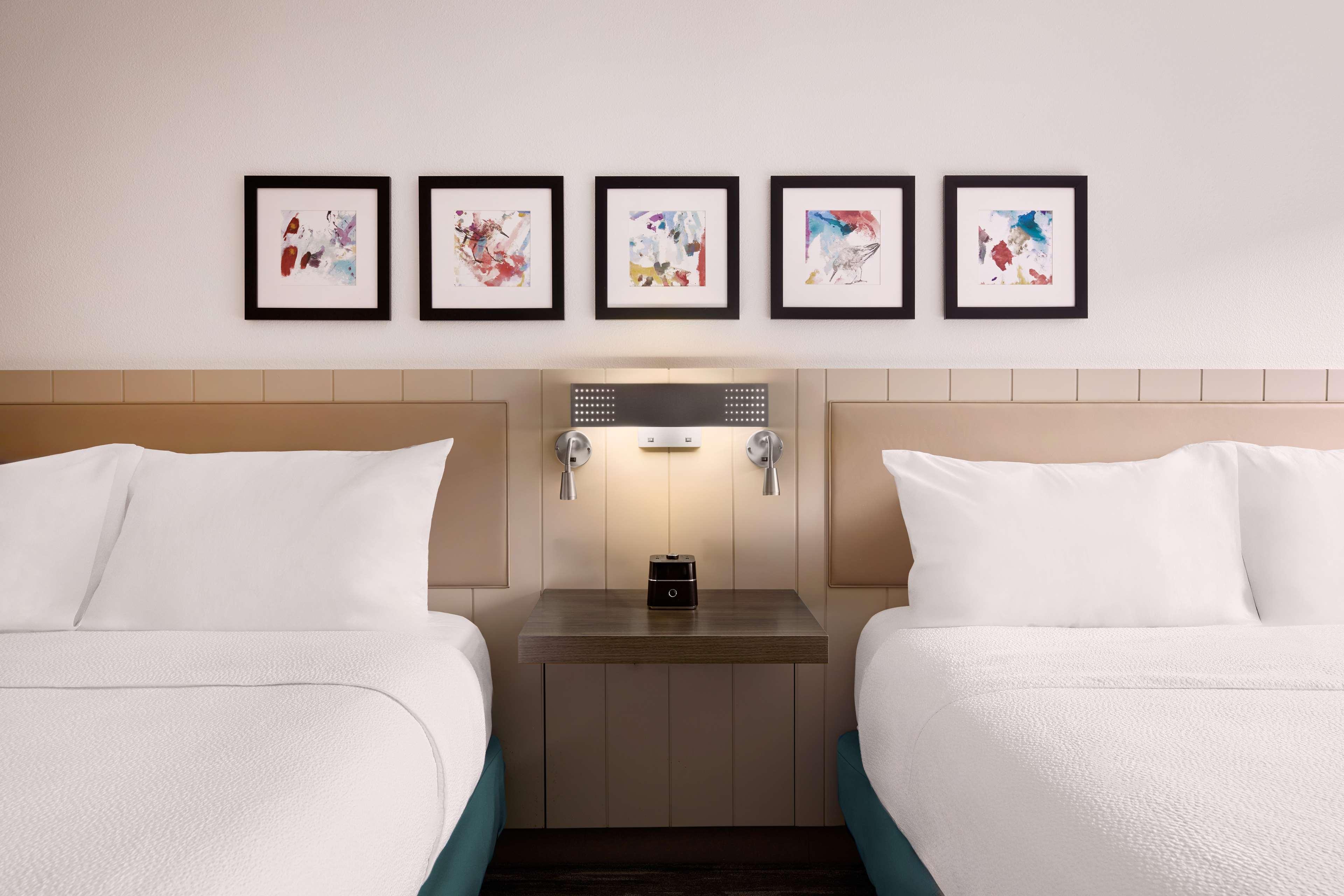 Double Two Queen Beds