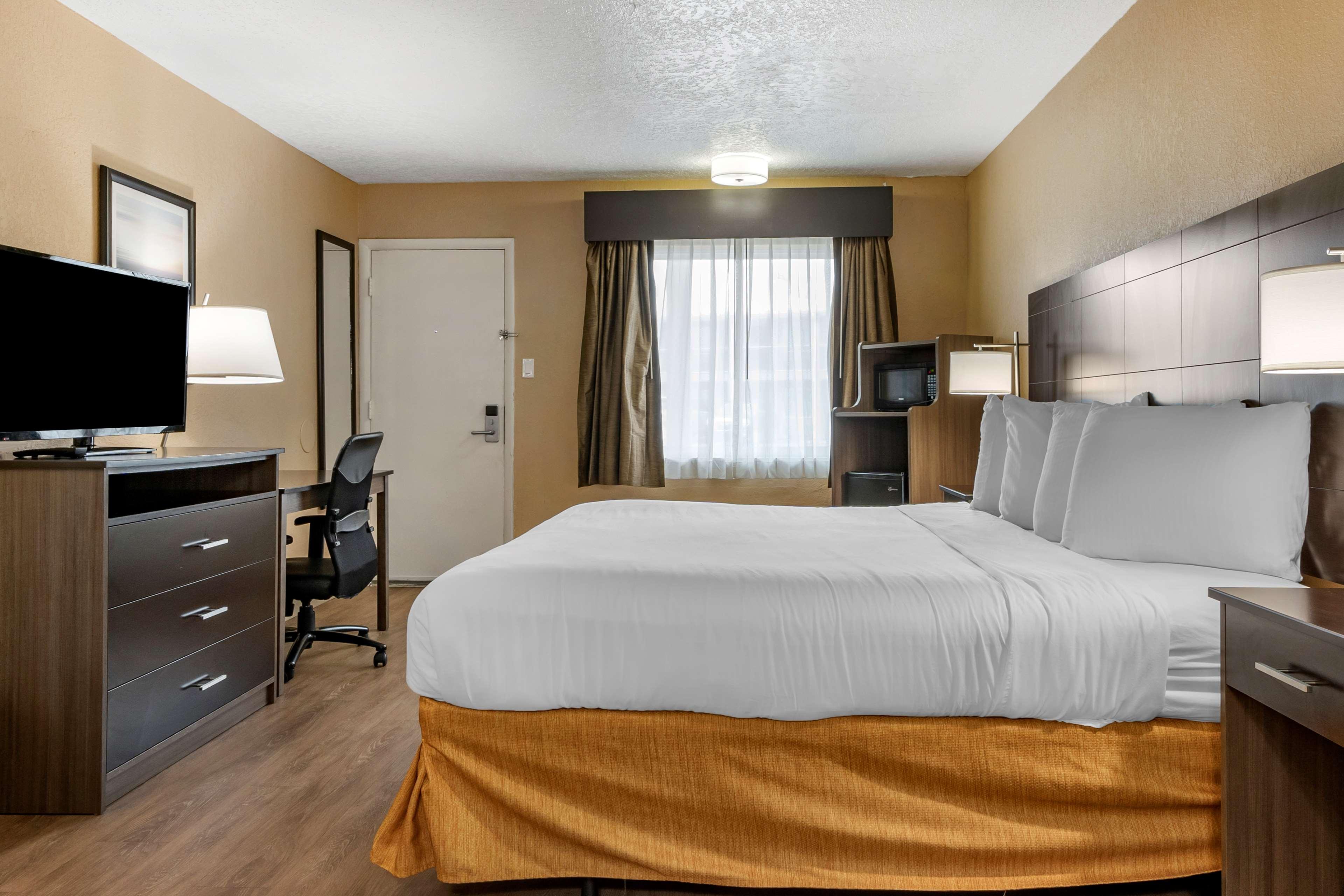 Room King Bed Non Smoking