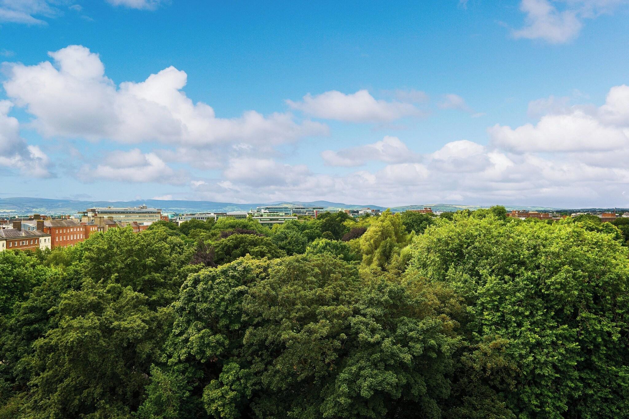 Quadruple Two Double Beds with Views