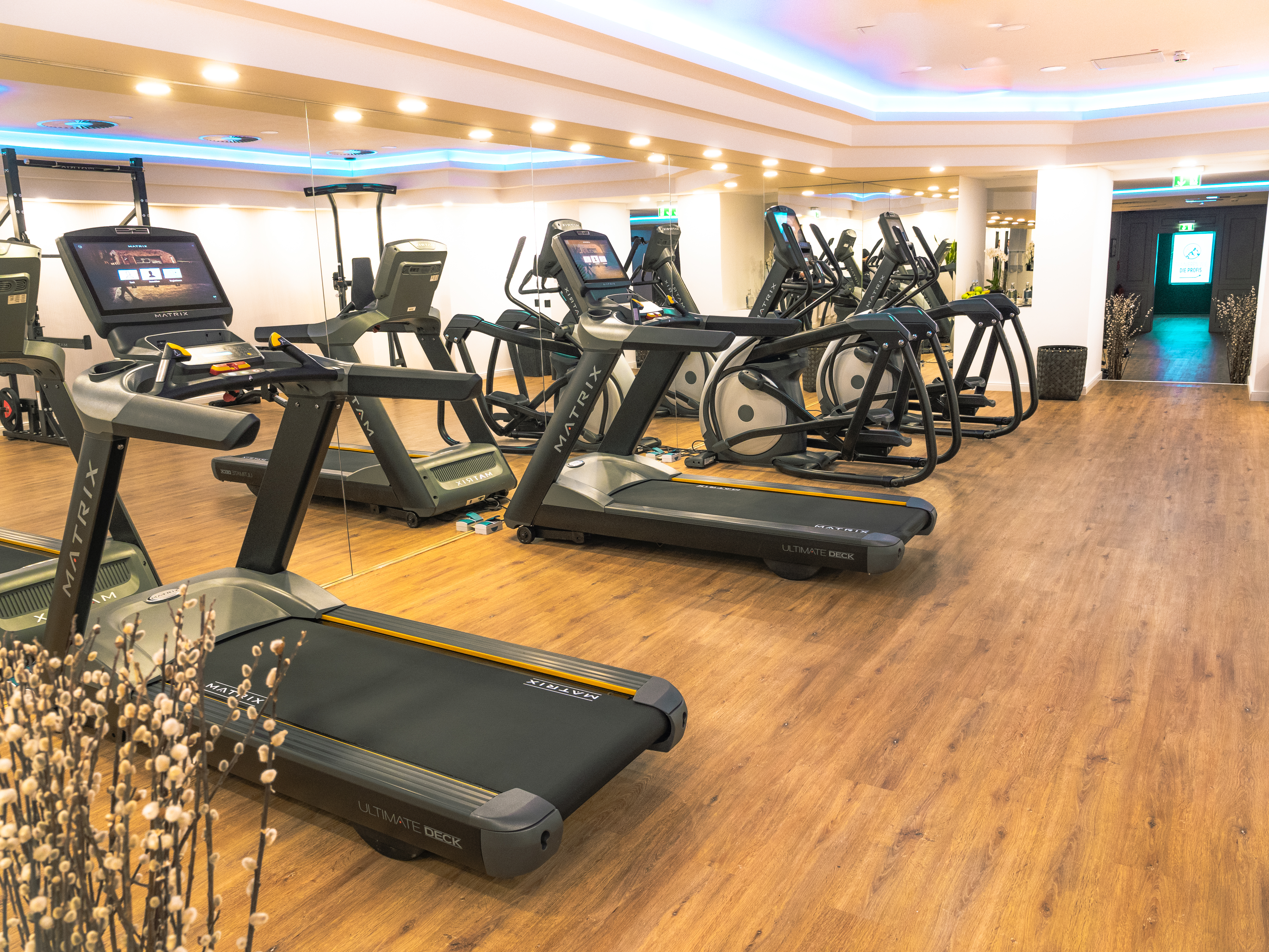 Sports and Entertainment