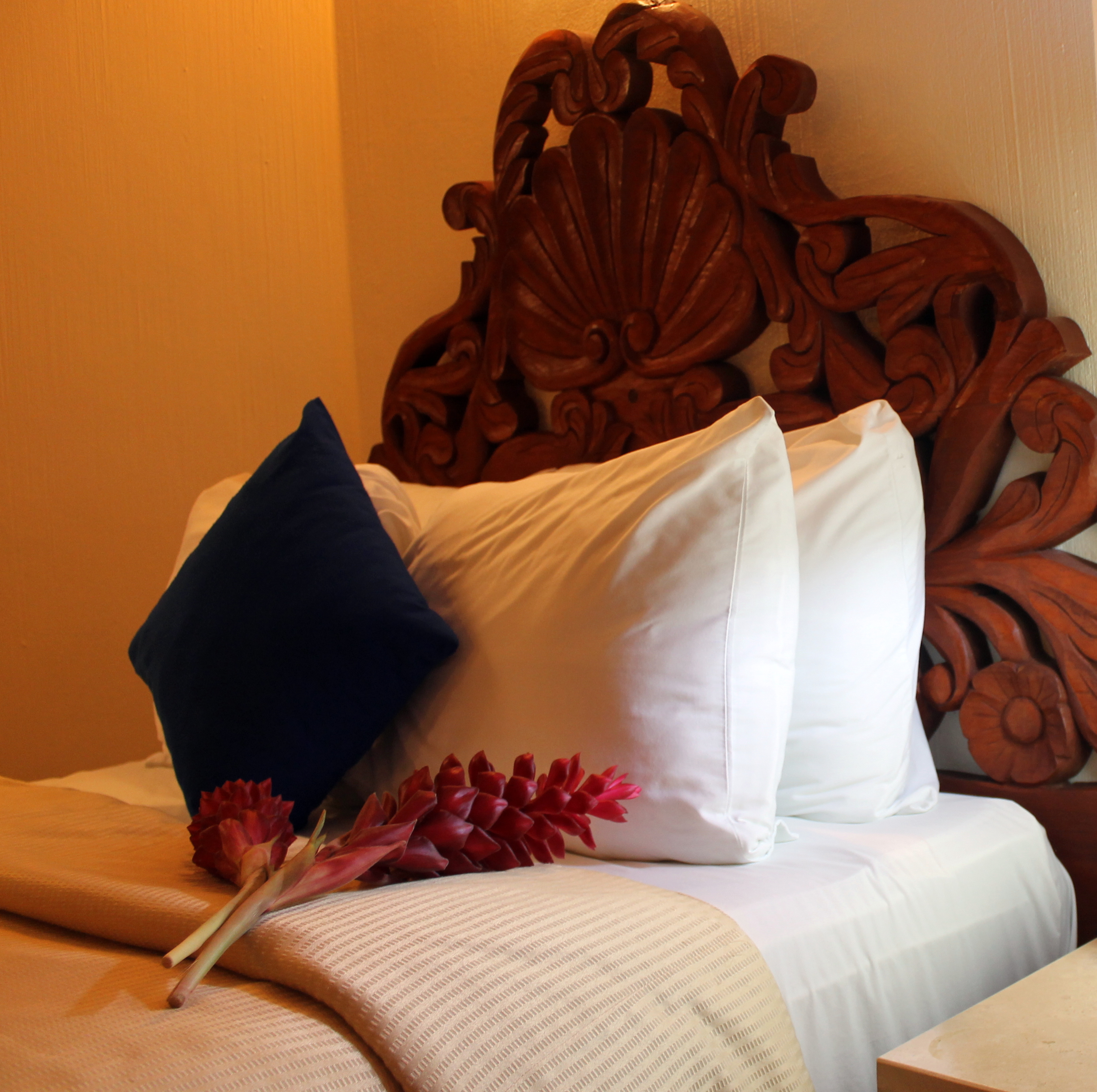 Double or Twin One Bed