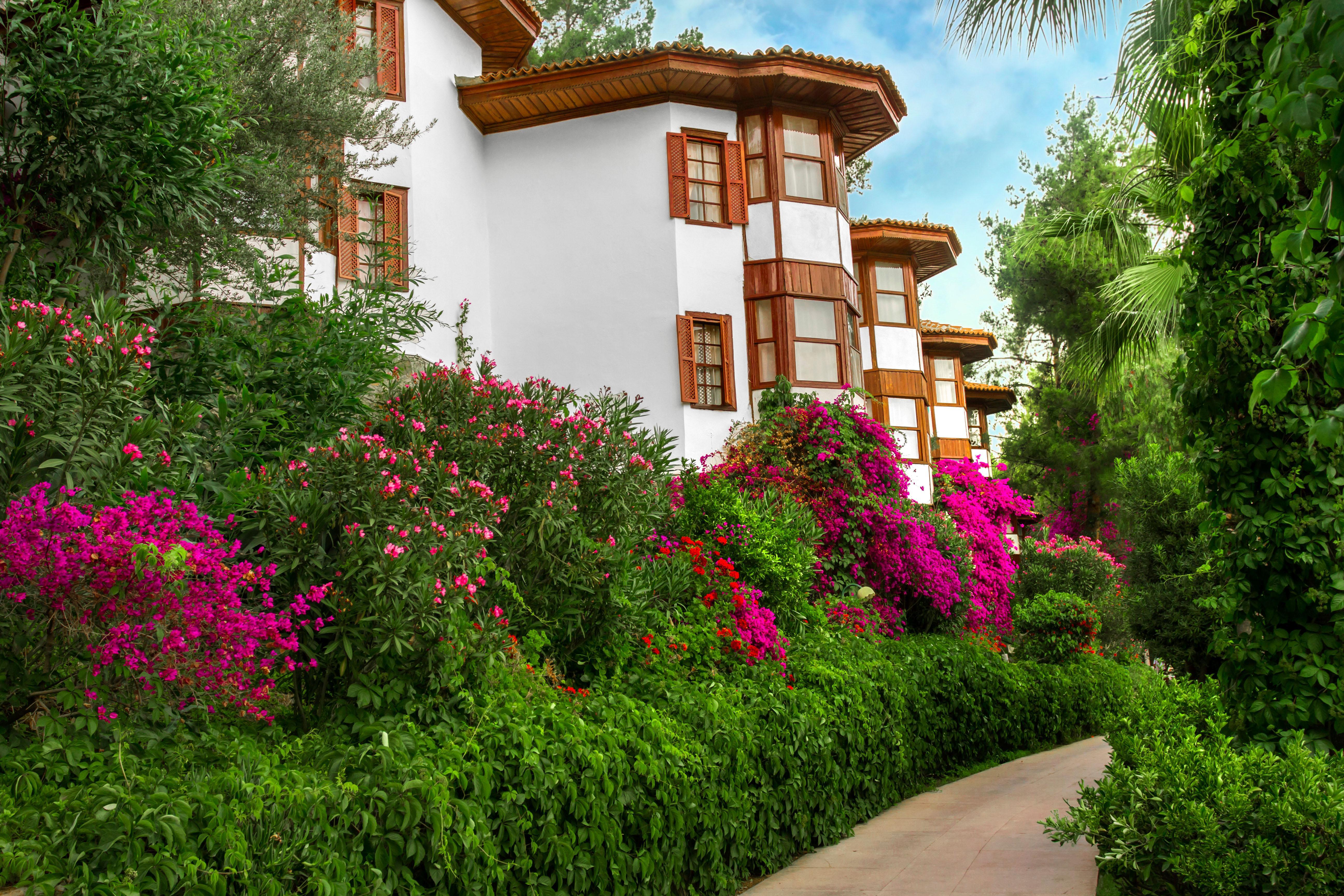 Bungalow Garden View