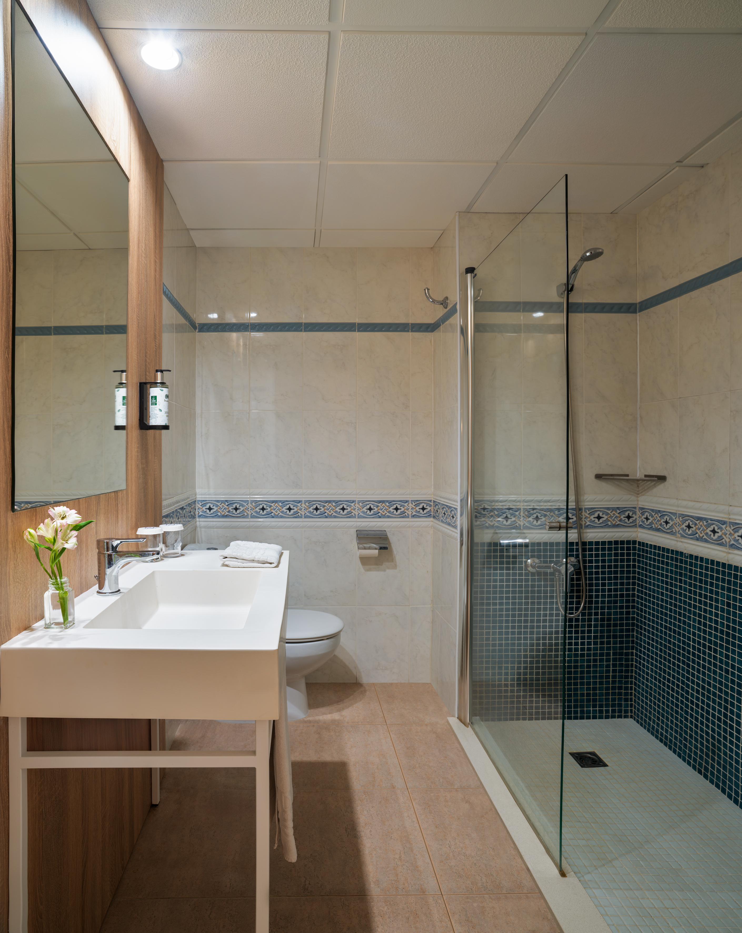 Apartment Capacity 1