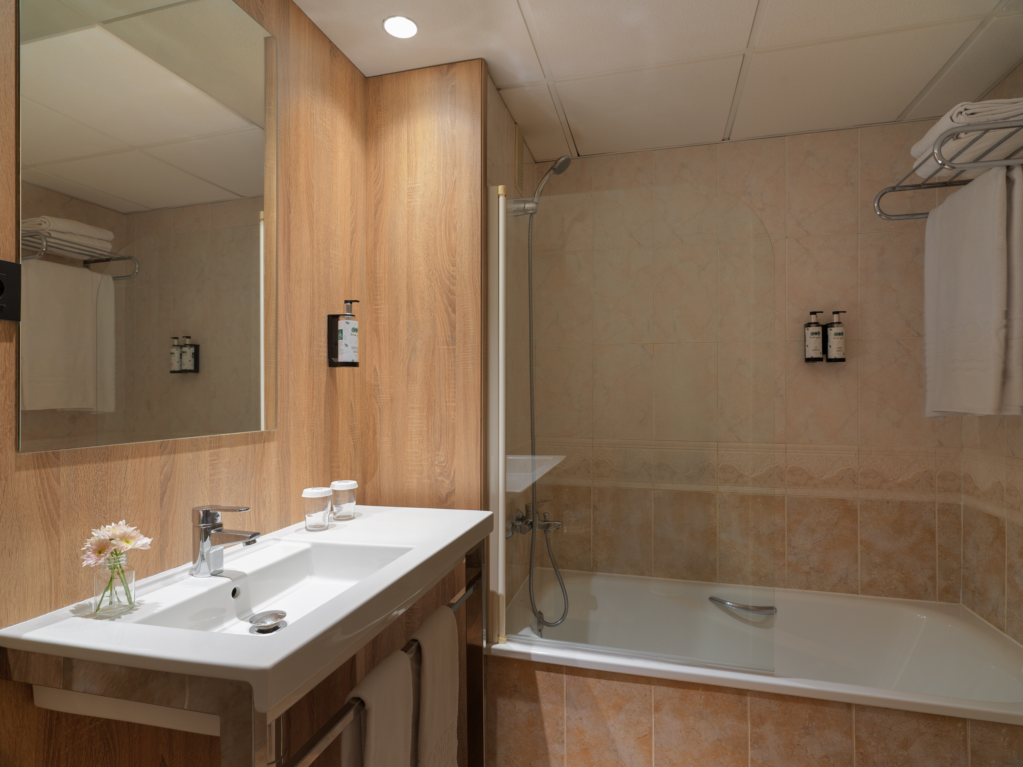 Double or Twin Standard