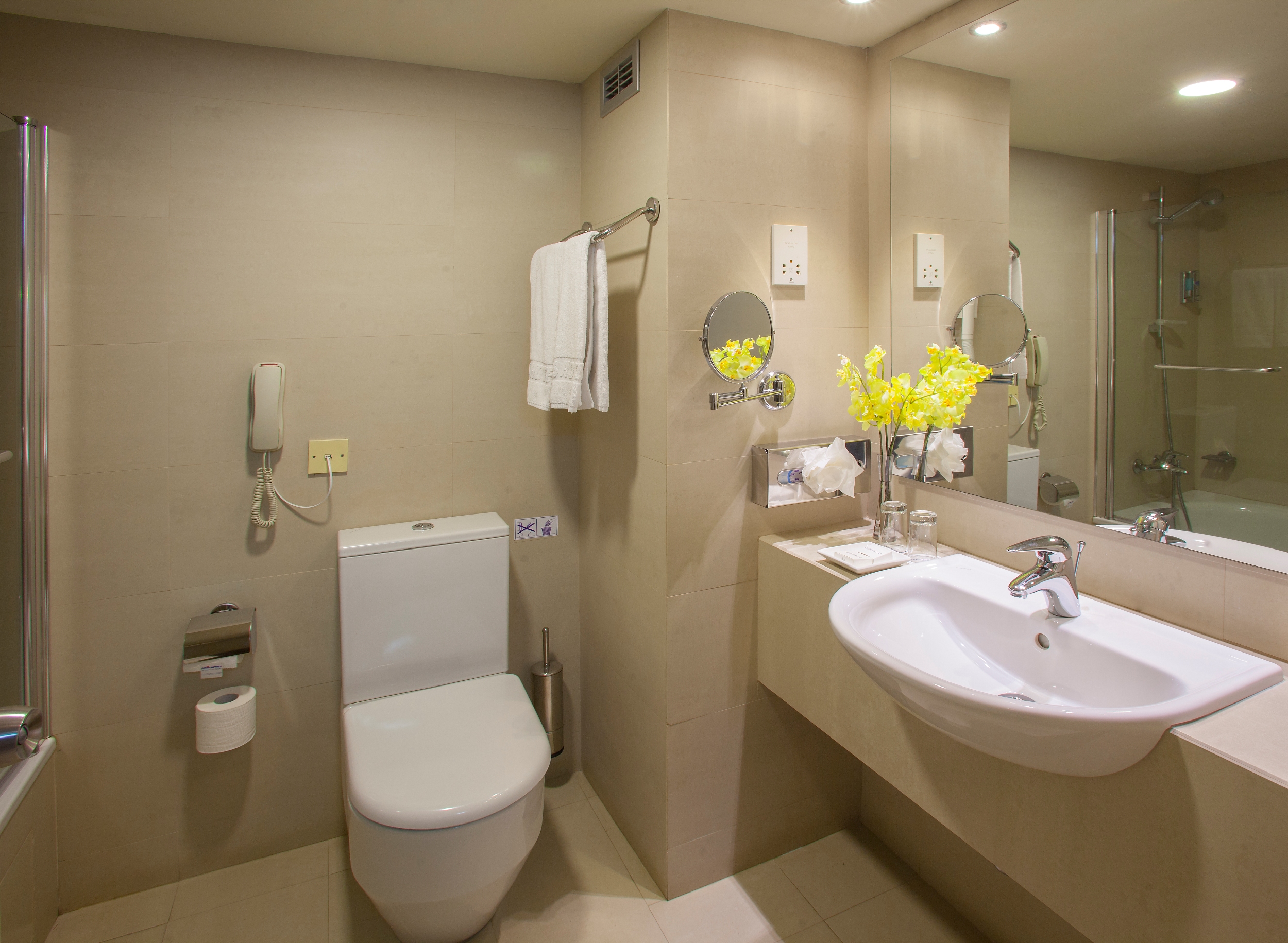 Double or Twin Standard