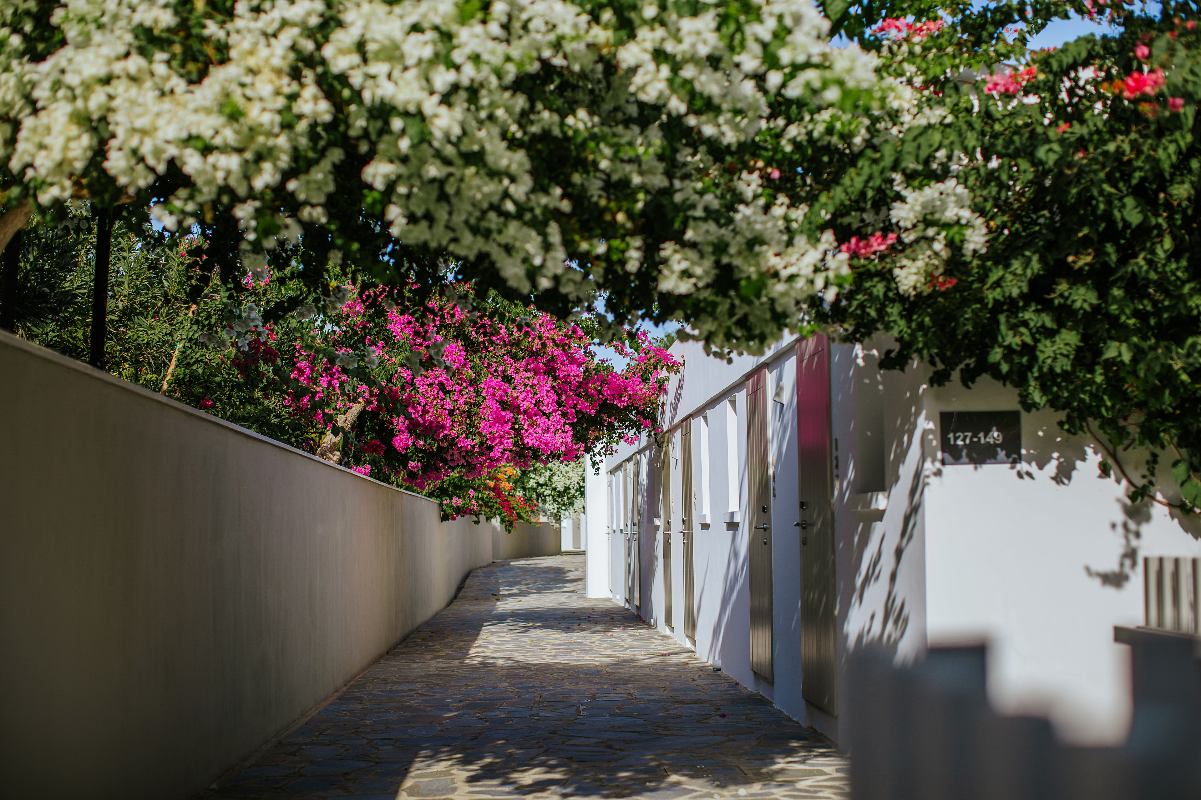 Double or Twin Garden View