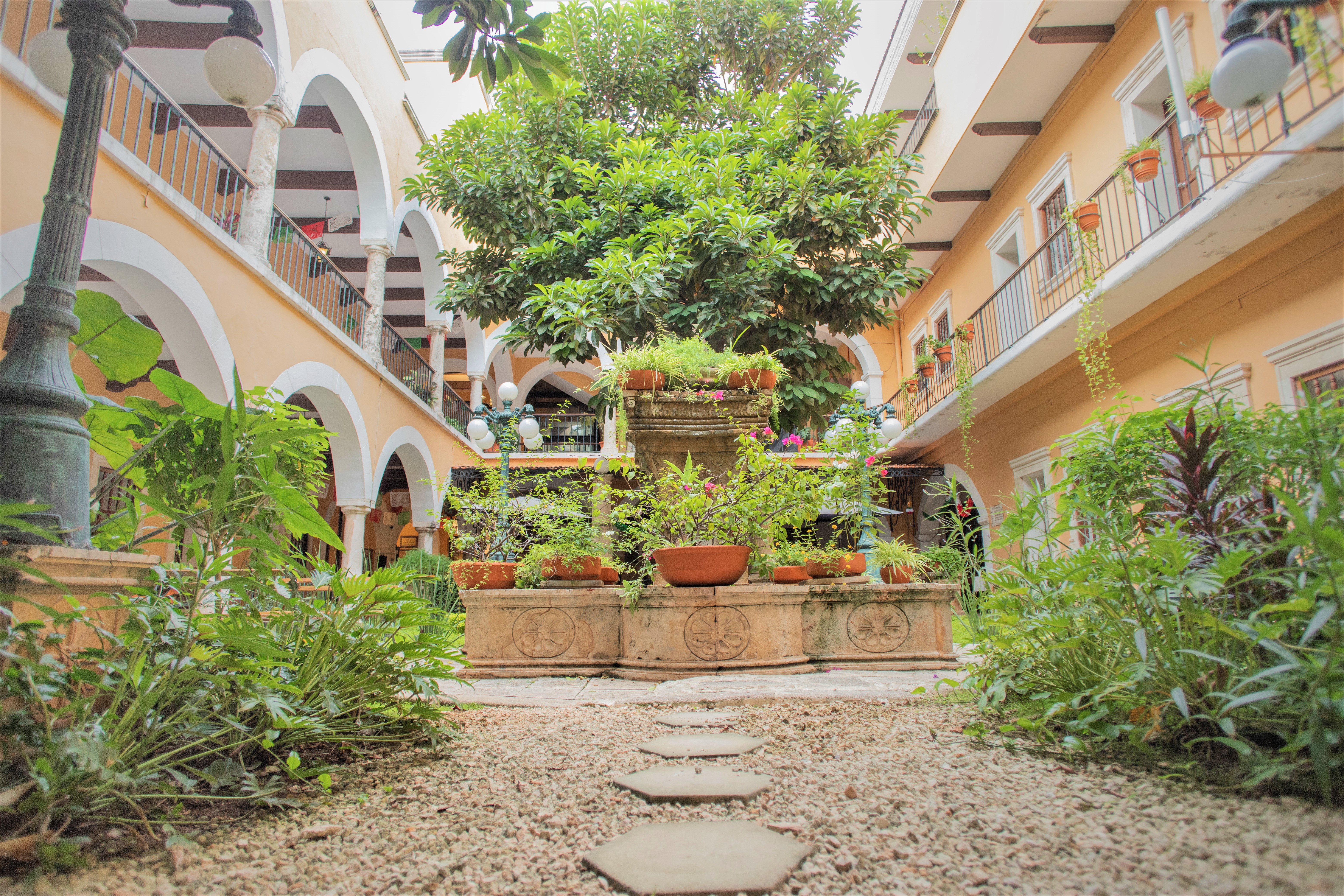 Terrace