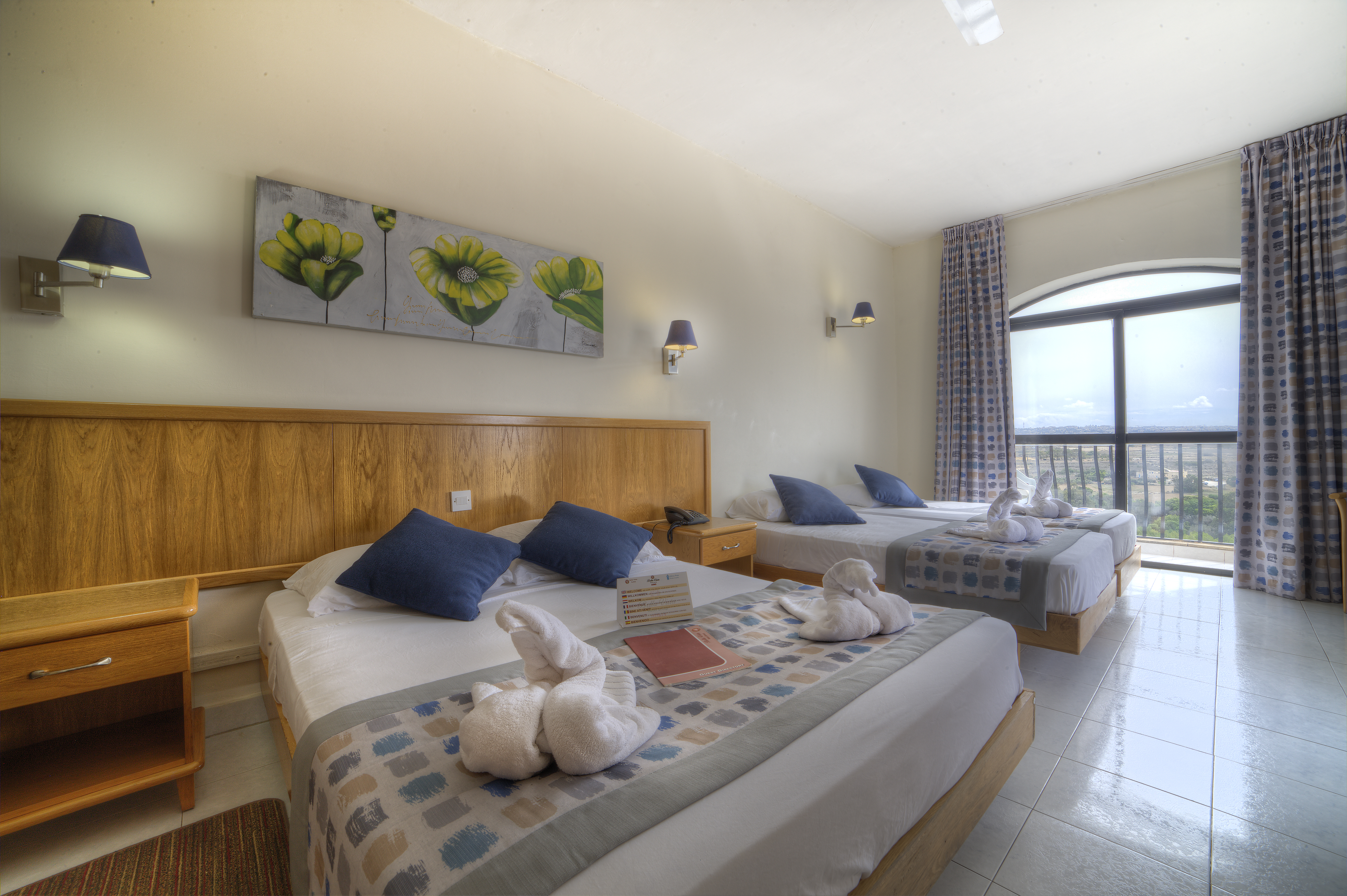 Double or Twin Superior