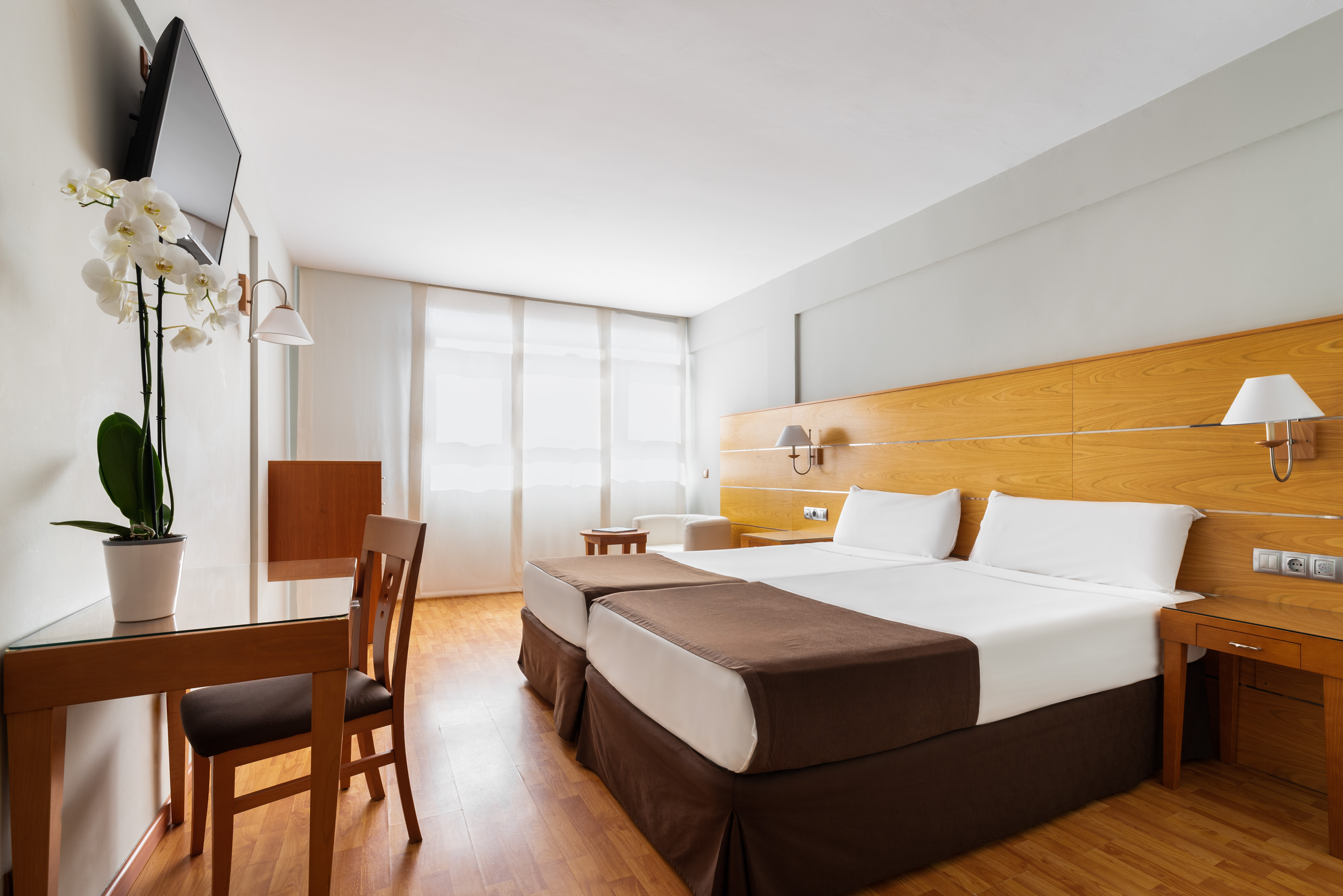 Double or Twin Standard