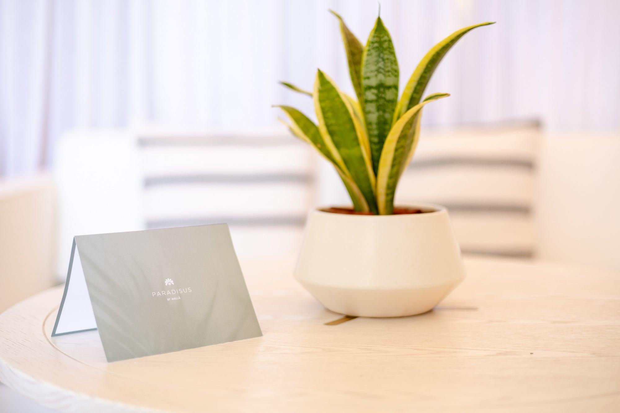 Junior Suite Capacity 2