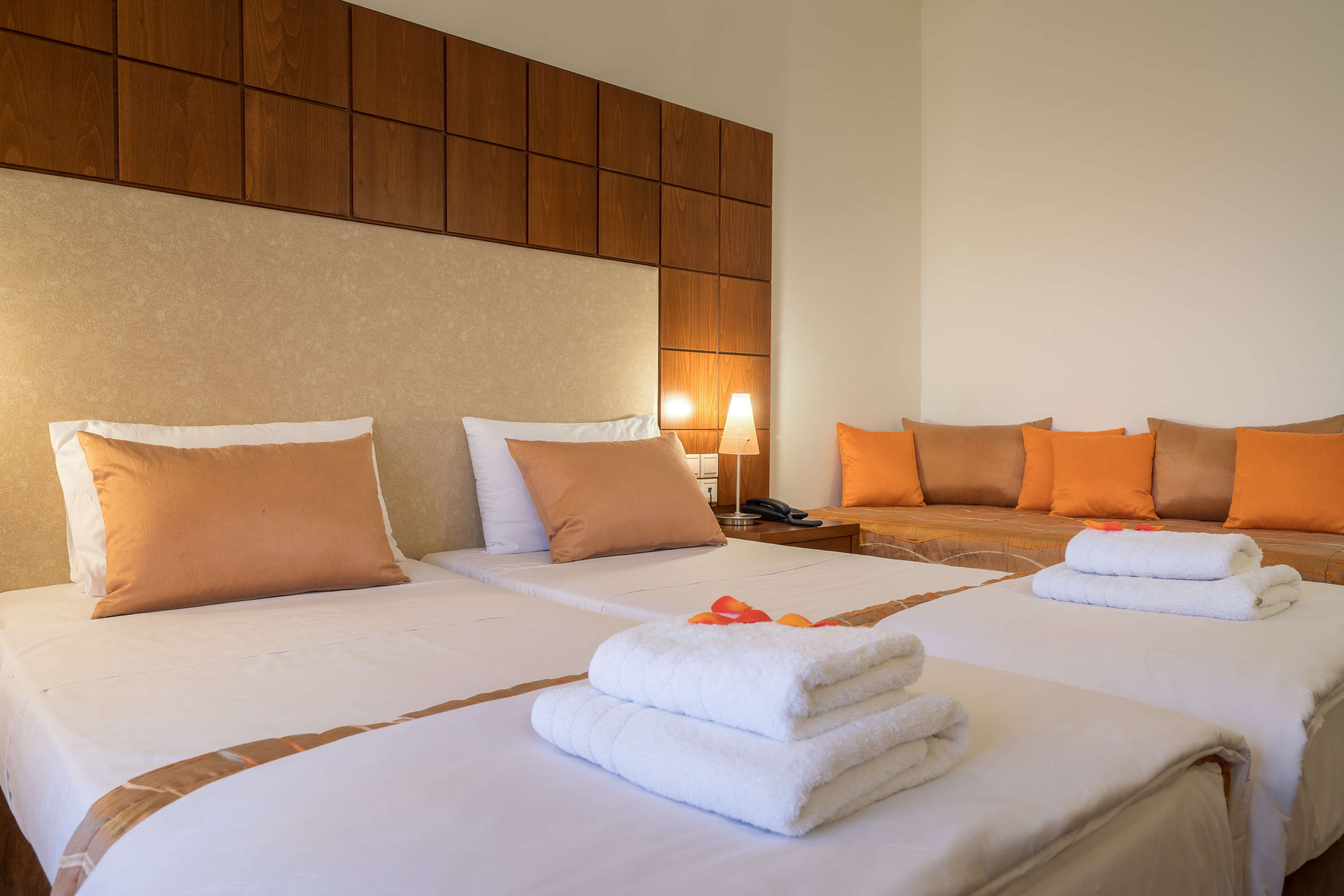 Double or Twin Superior