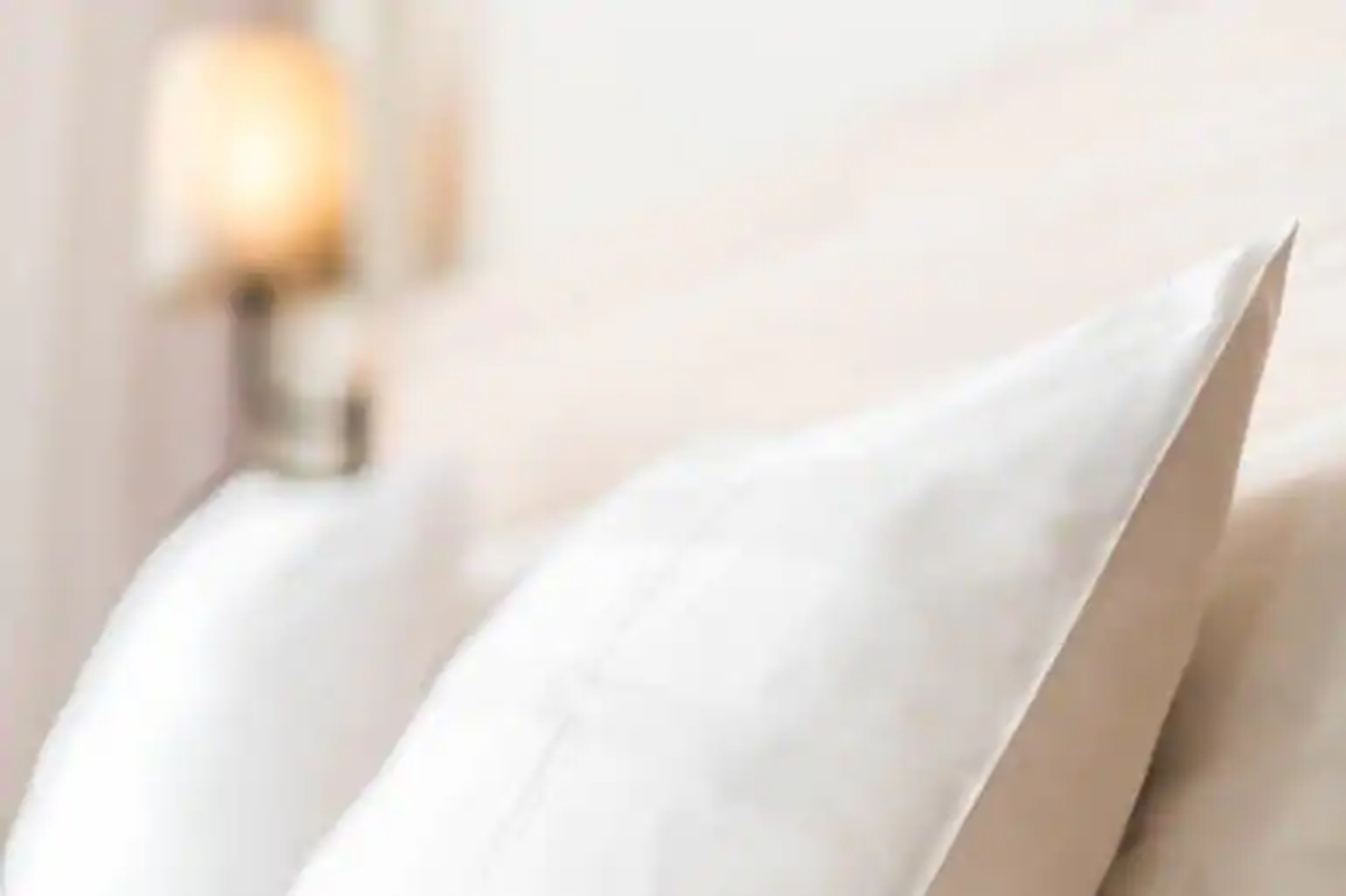 Family Room Superior King Bed