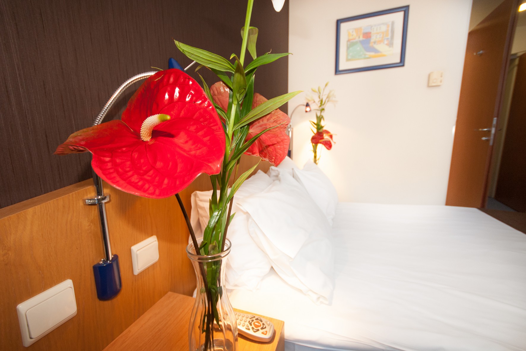 Double Single Standard