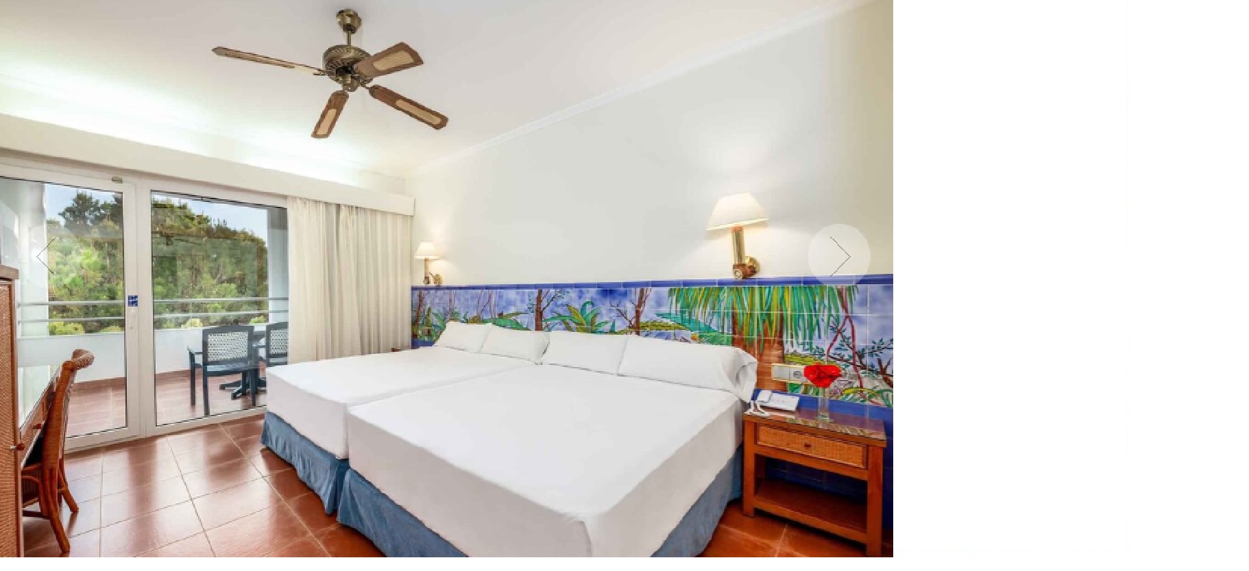 Double or Twin Promo