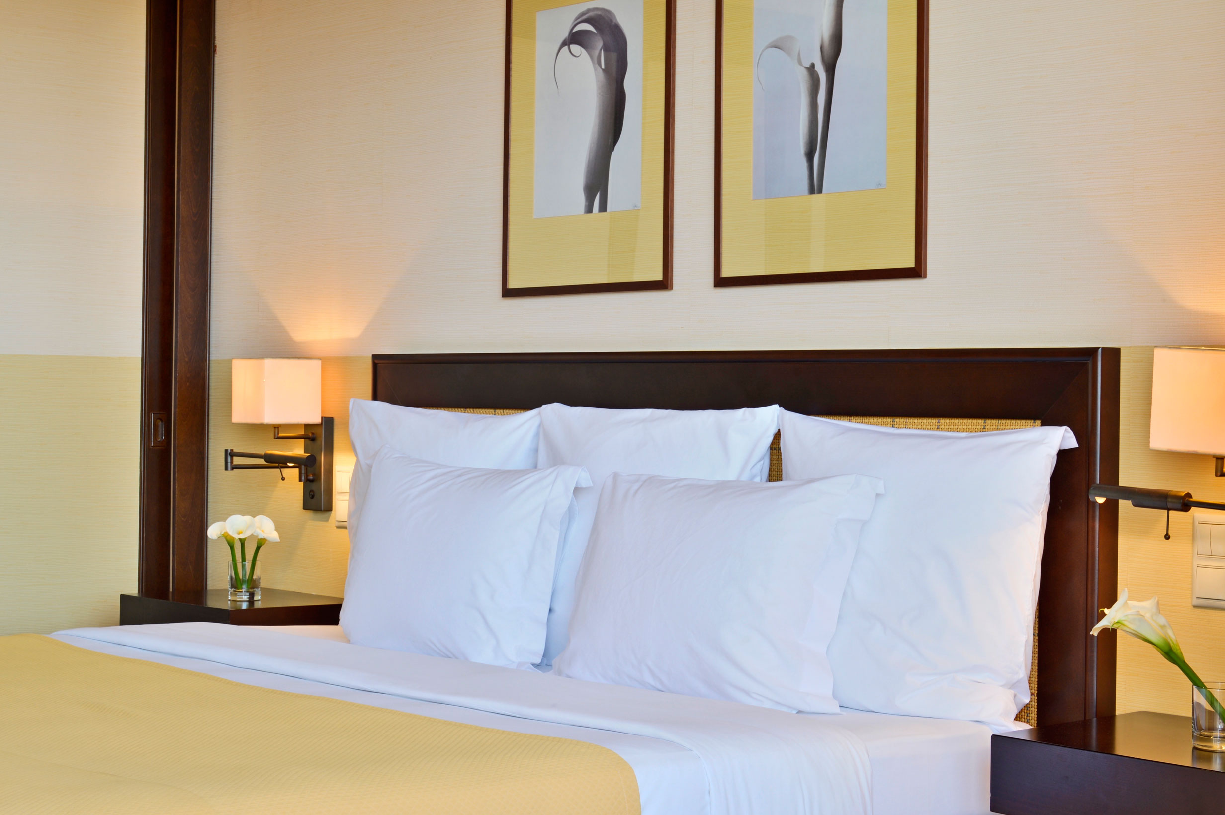 Double or Twin Superior