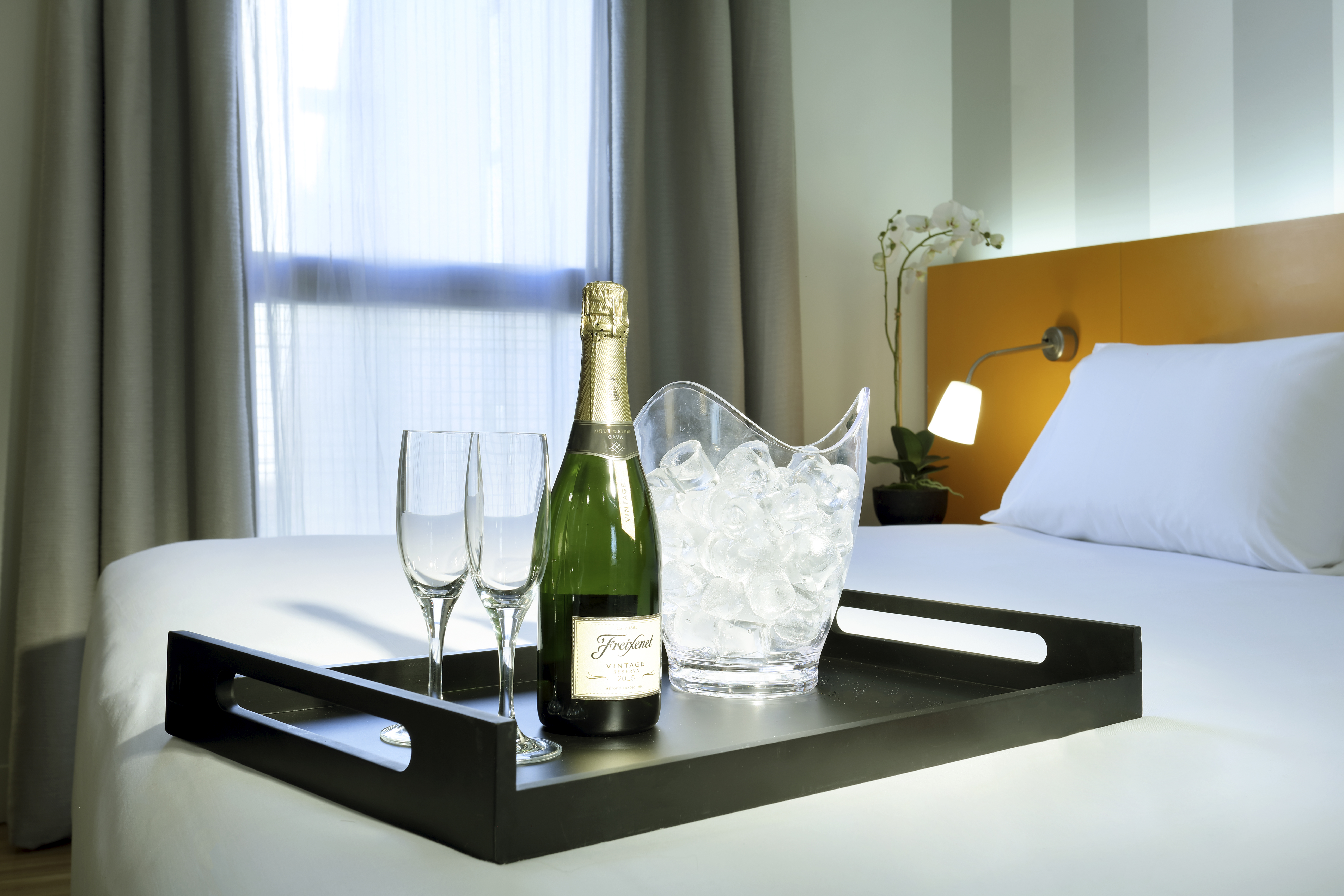 Double or Twin Standard