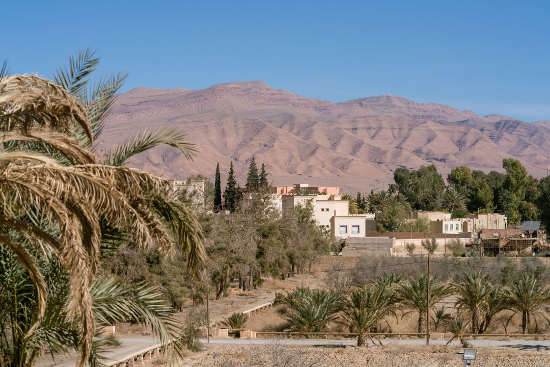 Junior Suite Garden View