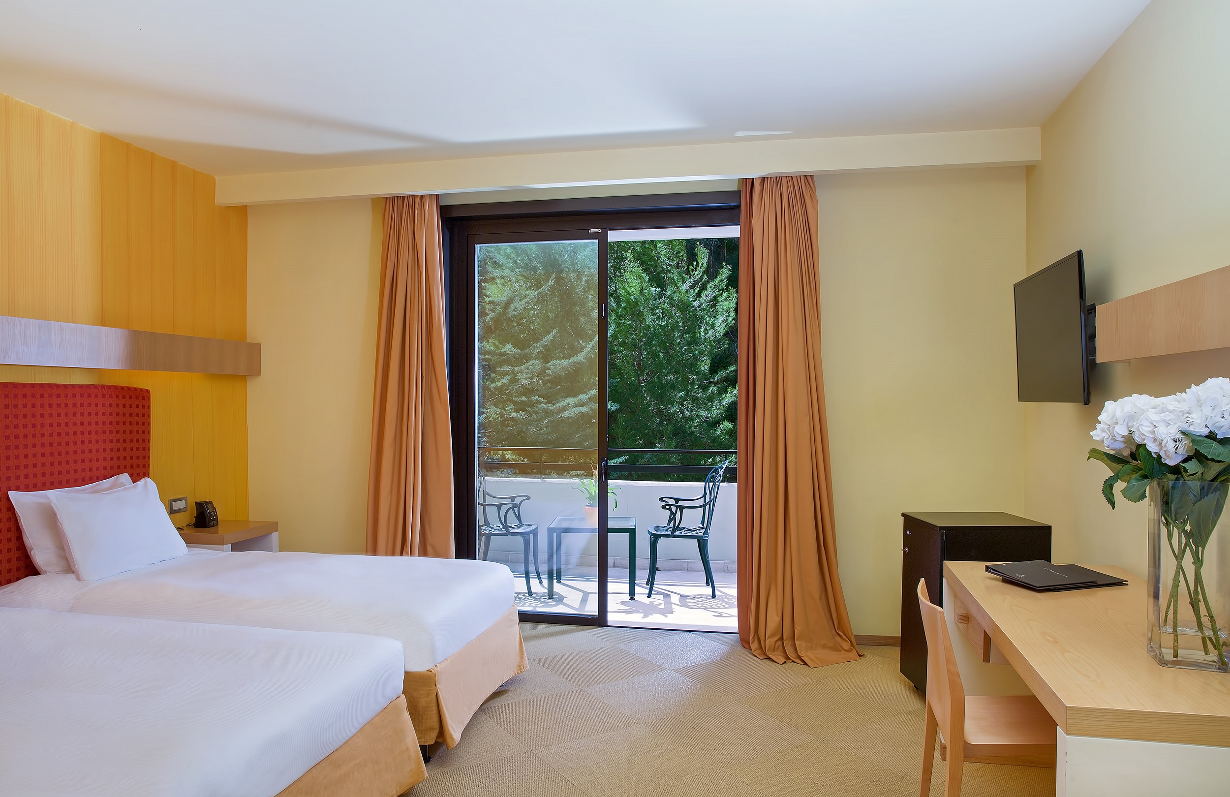 Double or Twin Standard