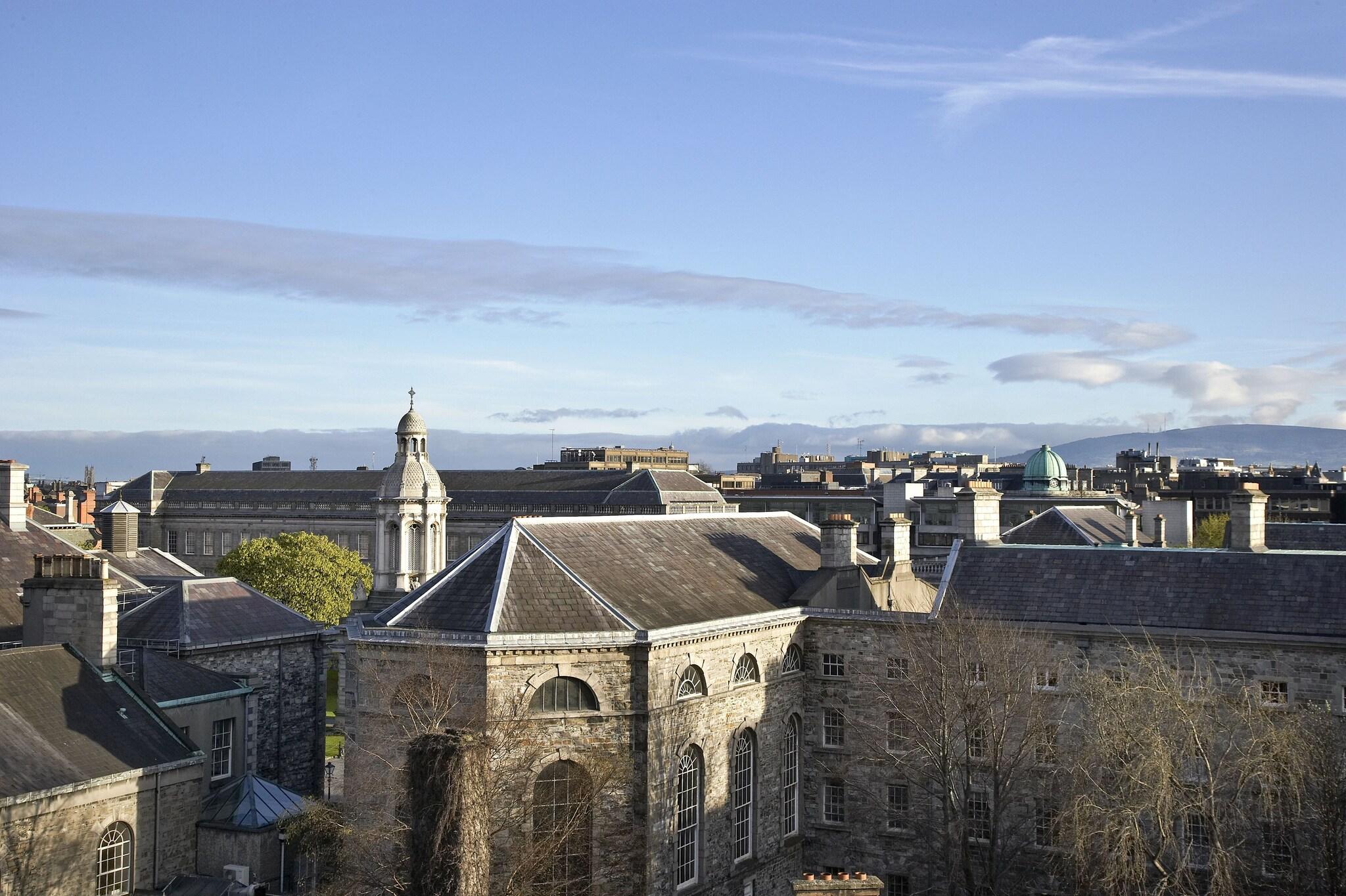Suite King Bed One Bedroom 