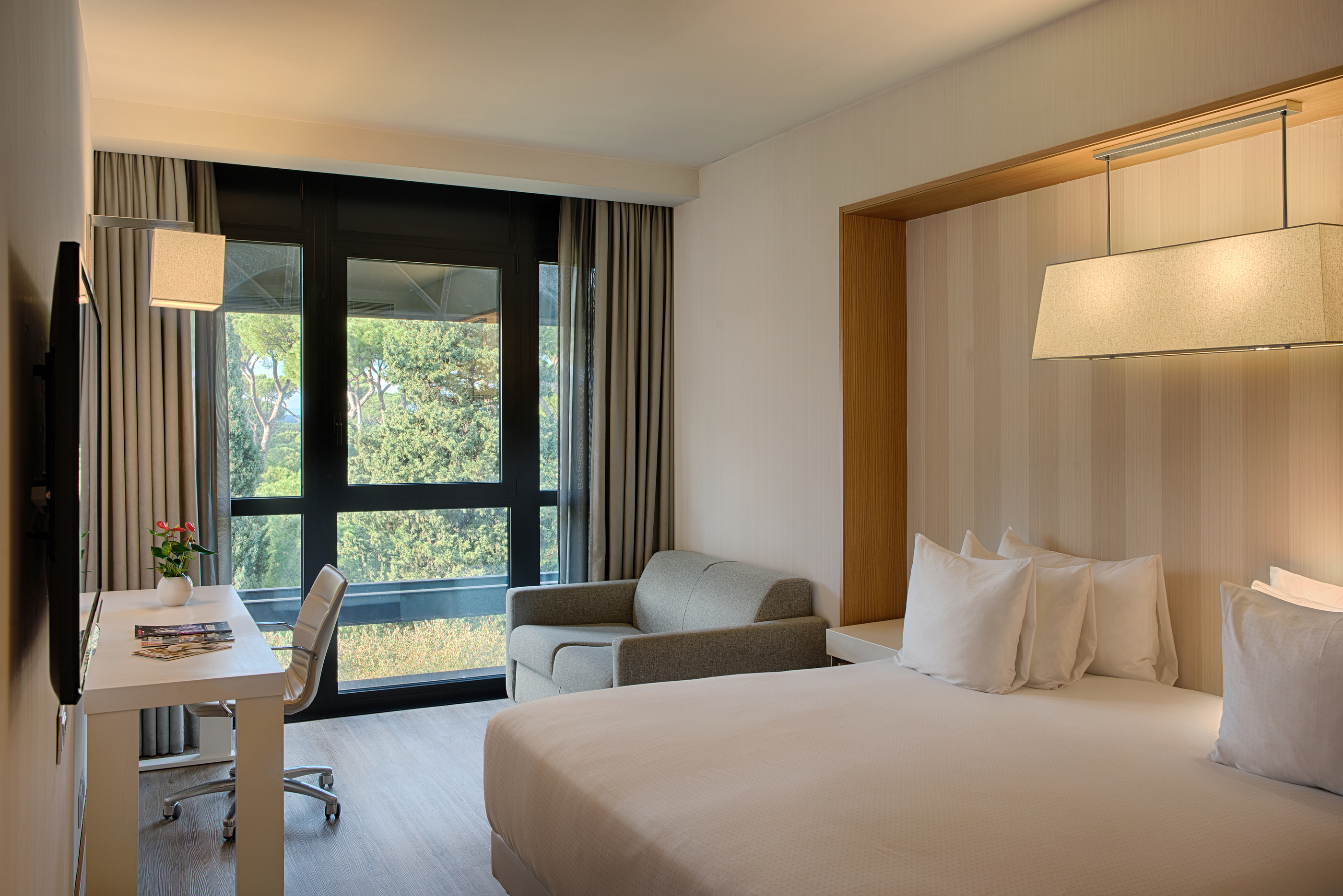 Junior Suite Standard