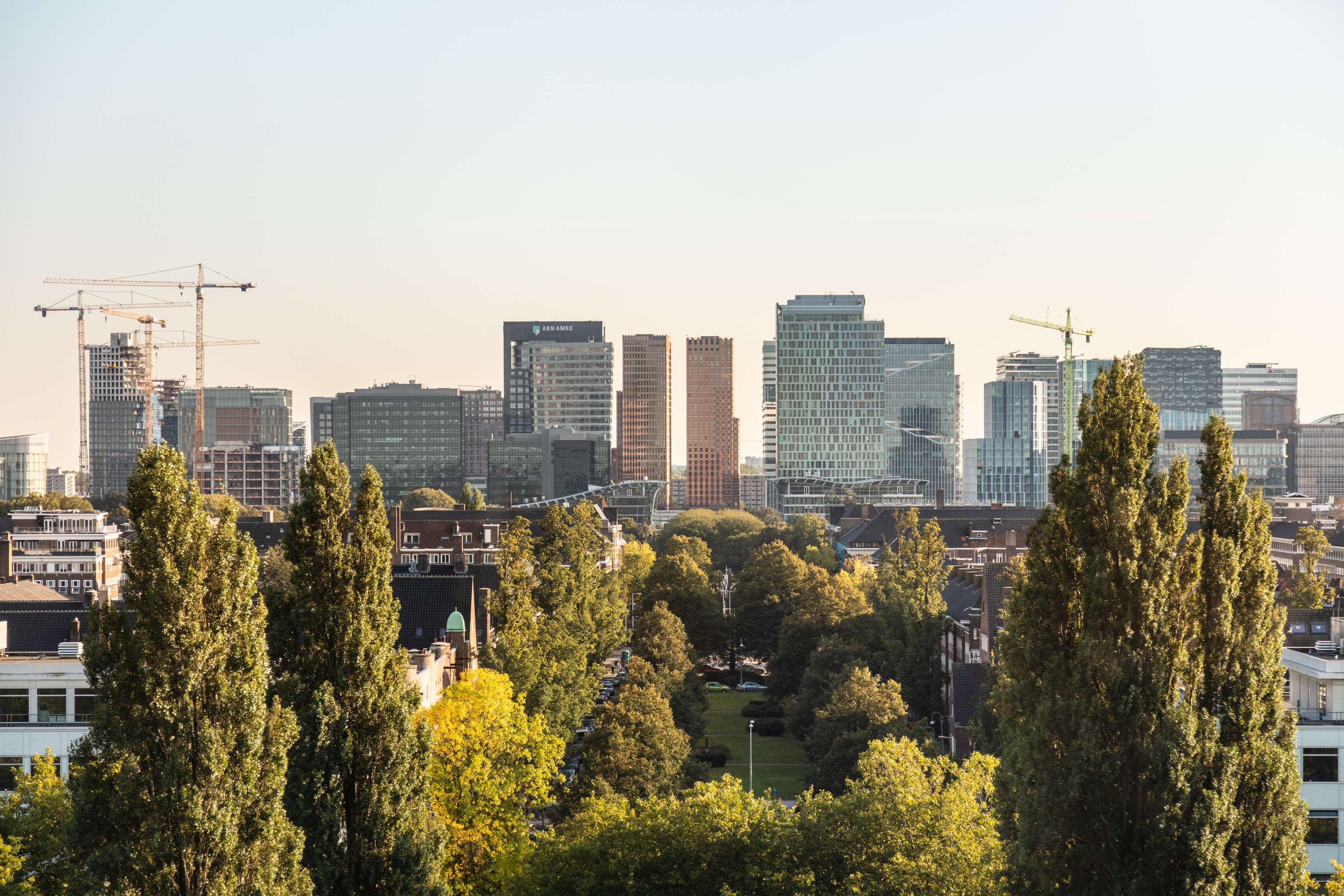 Junior Suite with Views