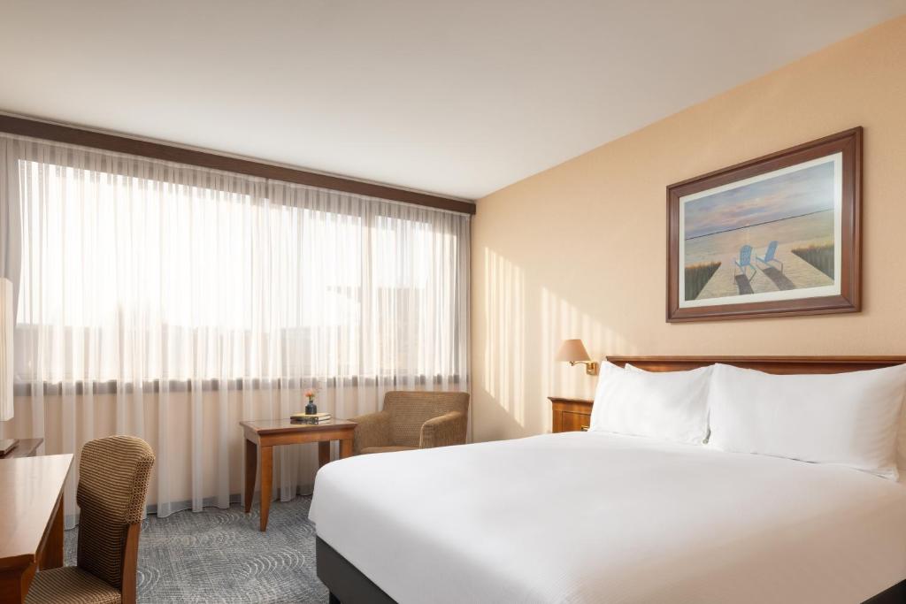 Double Guest Room King Bed