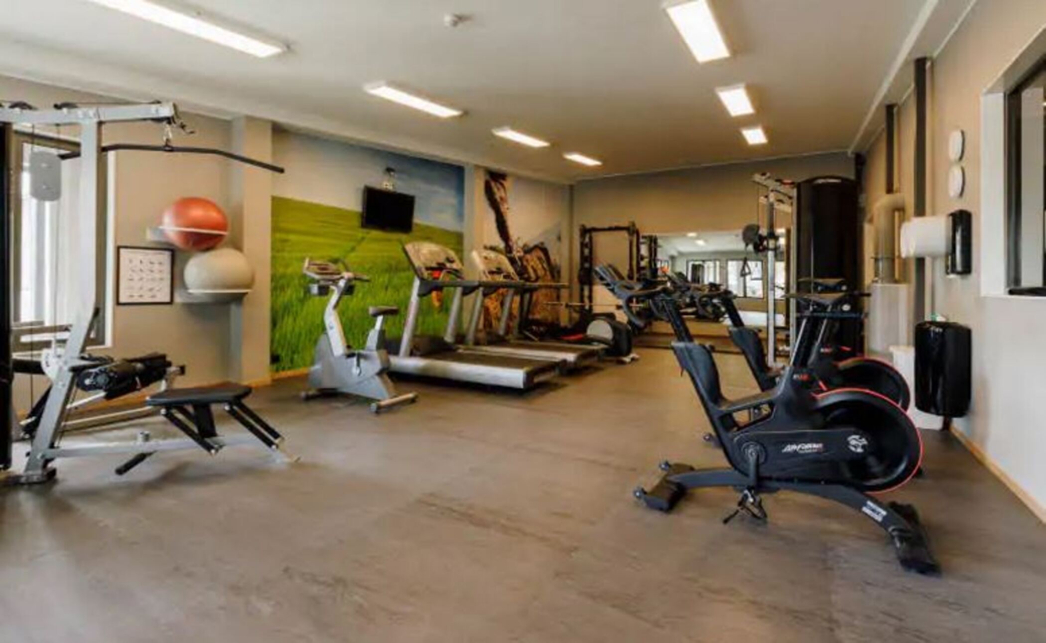 Sports and Entertainment