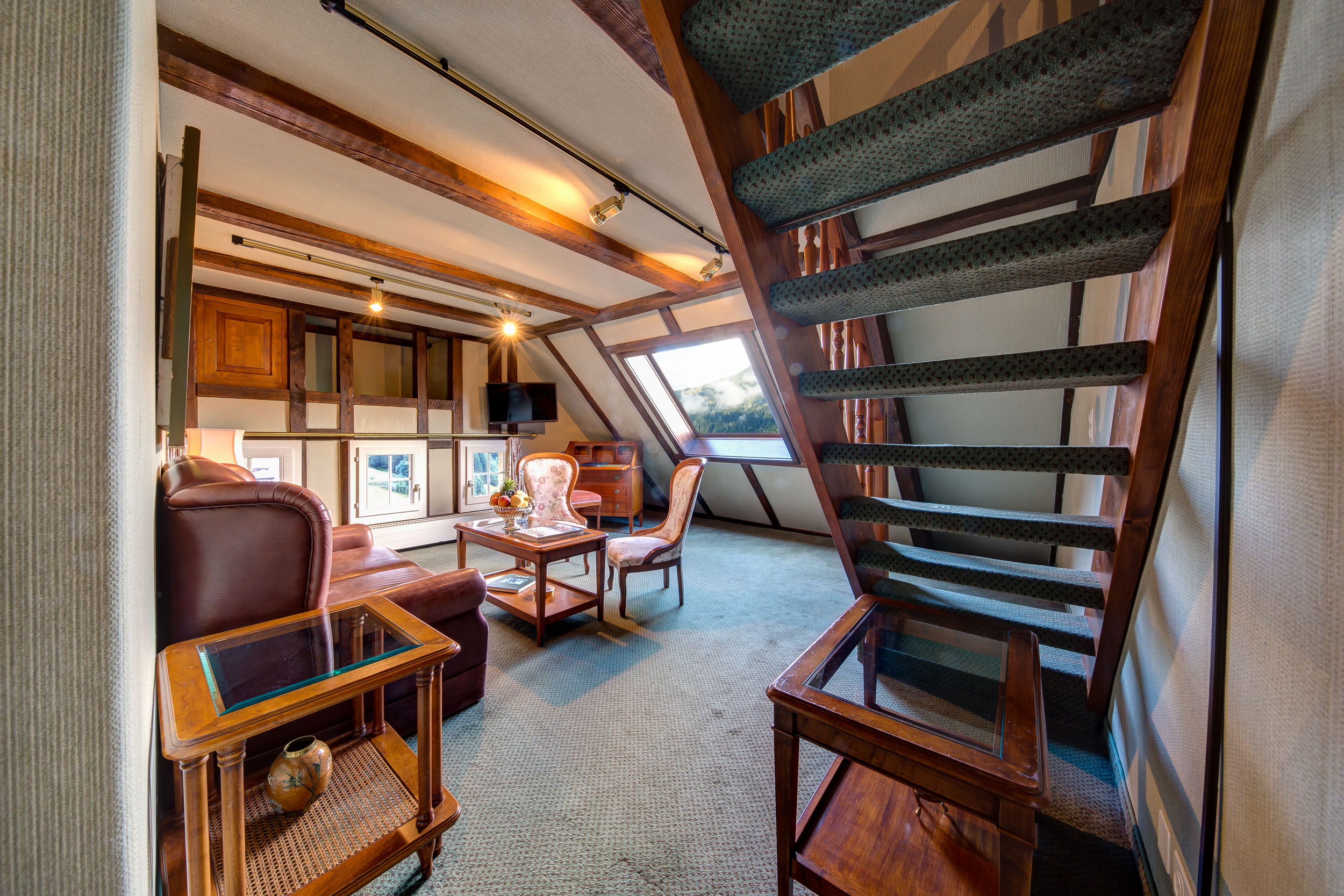 Junior Suite Mountain View