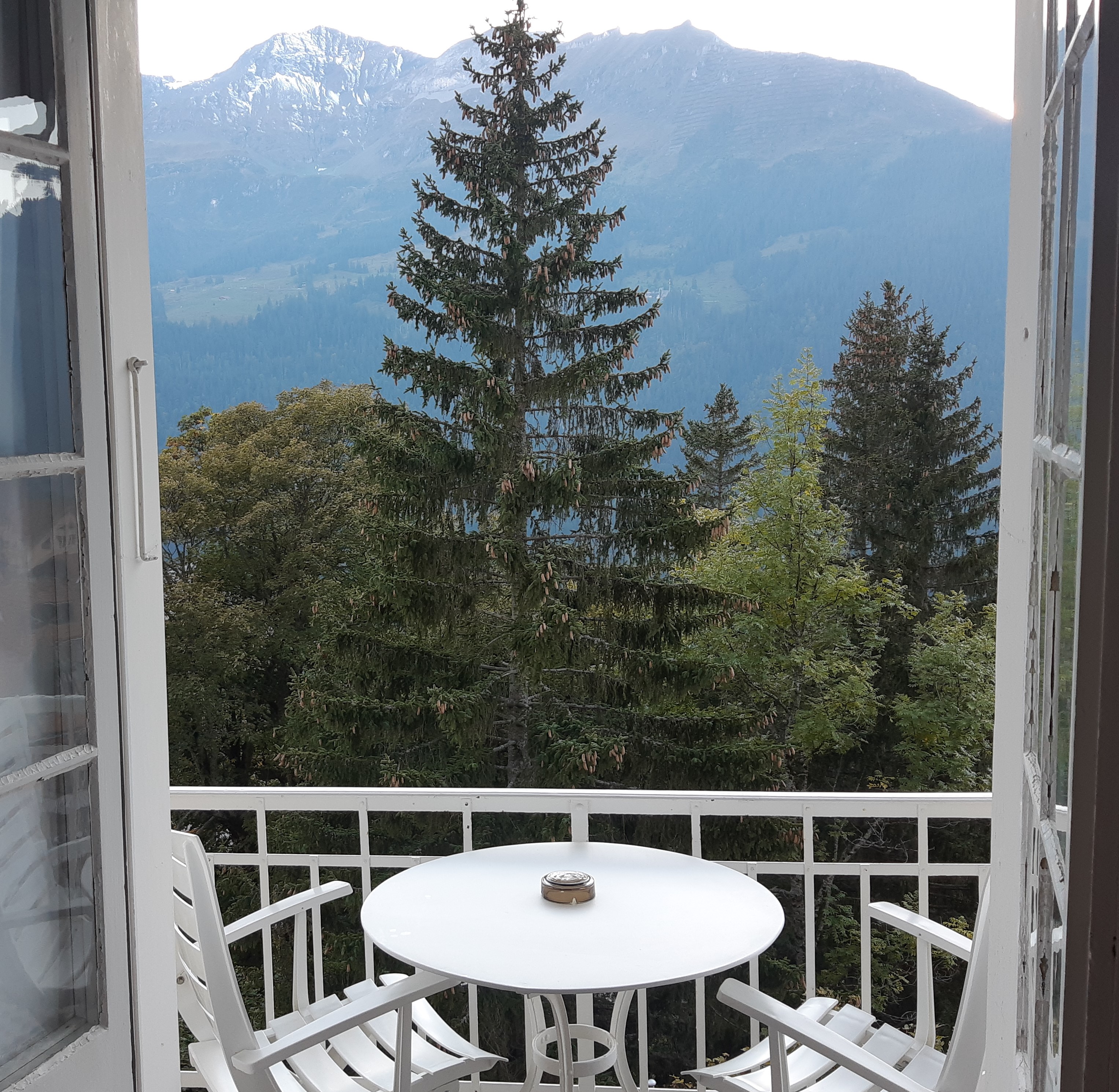 Double or Twin Deluxe Two Beds