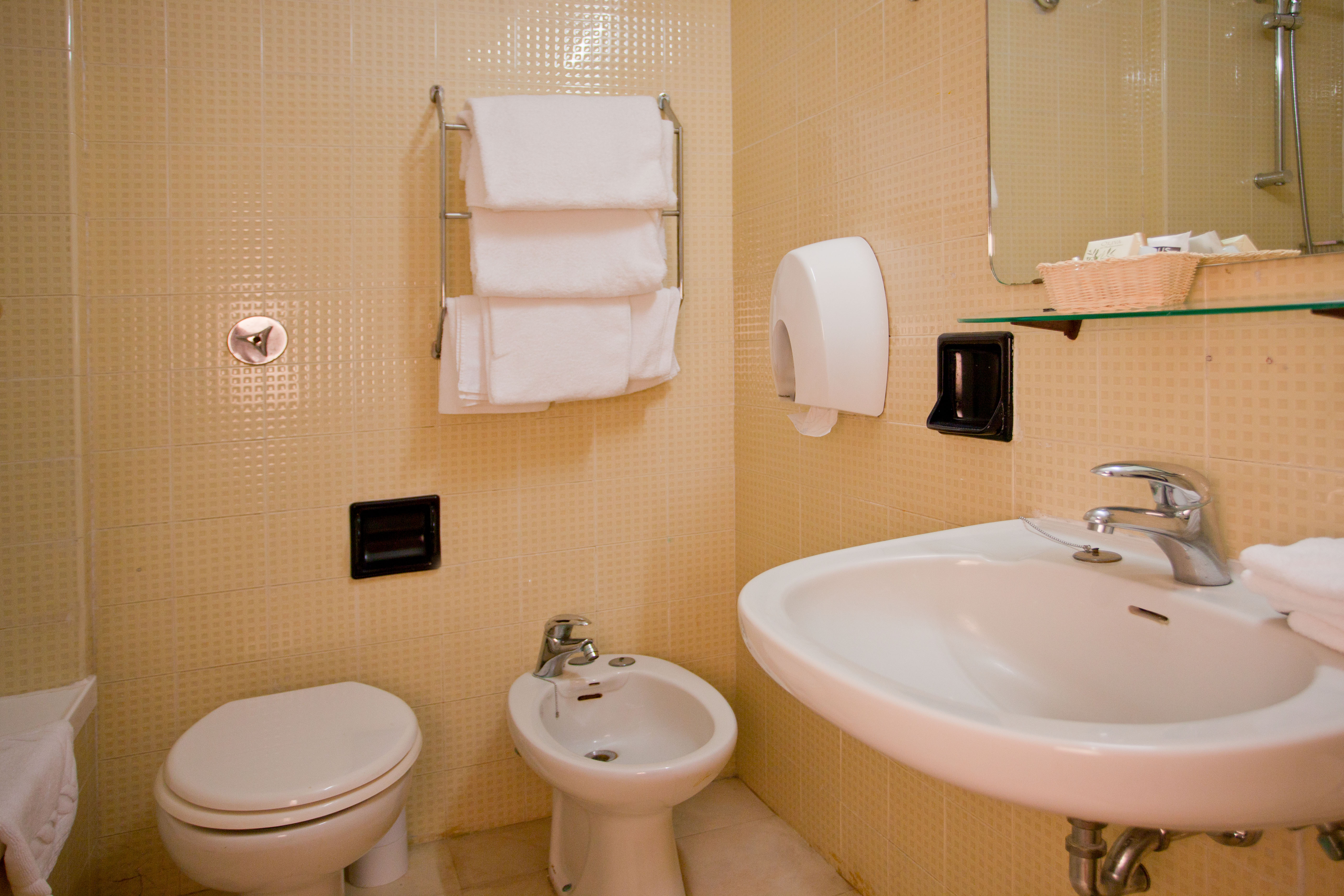 Double or Twin Economy